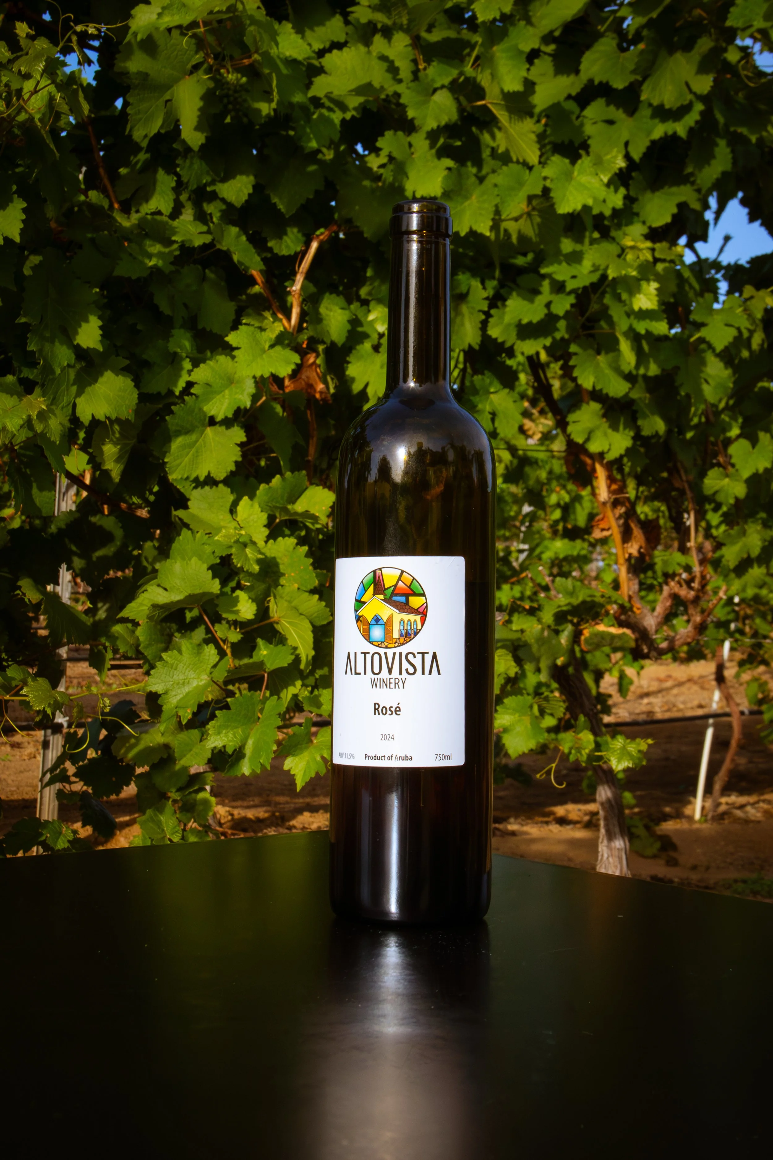 MRZ-Alto_Vista_Winery_November_SM-2025-16.jpg