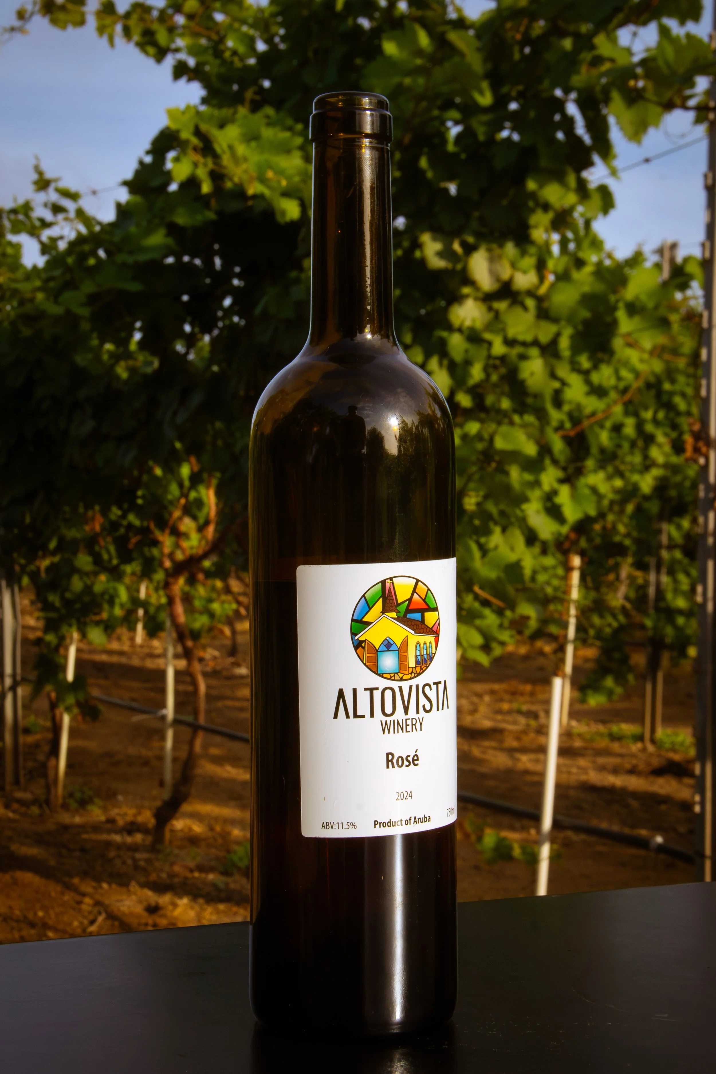 MRZ-Alto_Vista_Winery_November_SM-2025-13.jpg