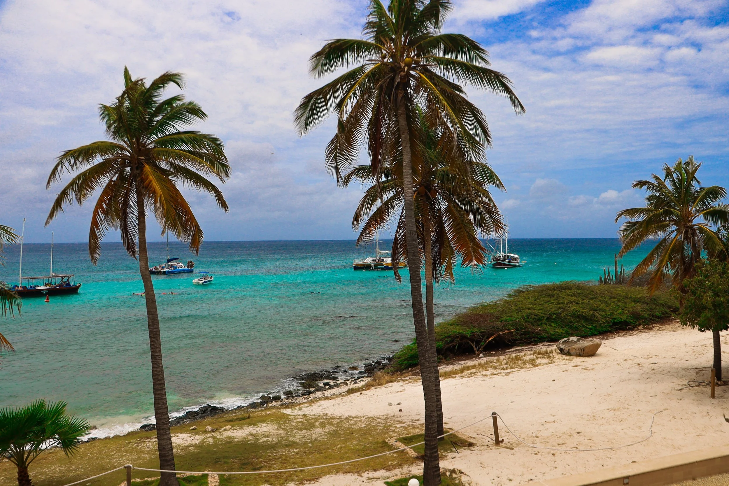 aruba-beachfront-catamarans-palm-trees.jpg