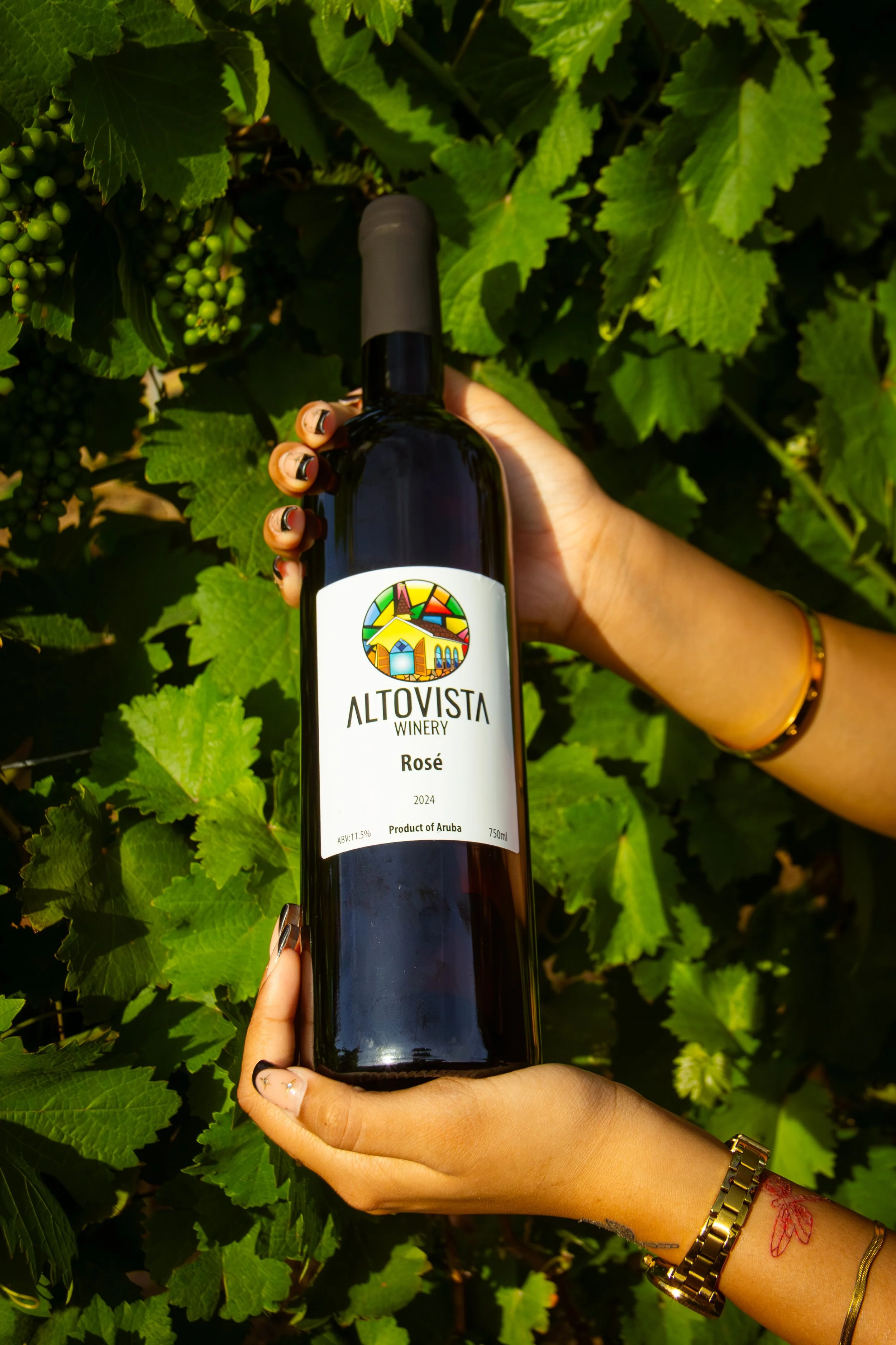 MRZ-Alto_Vista_Winery_November_SM-2025-01.jpg