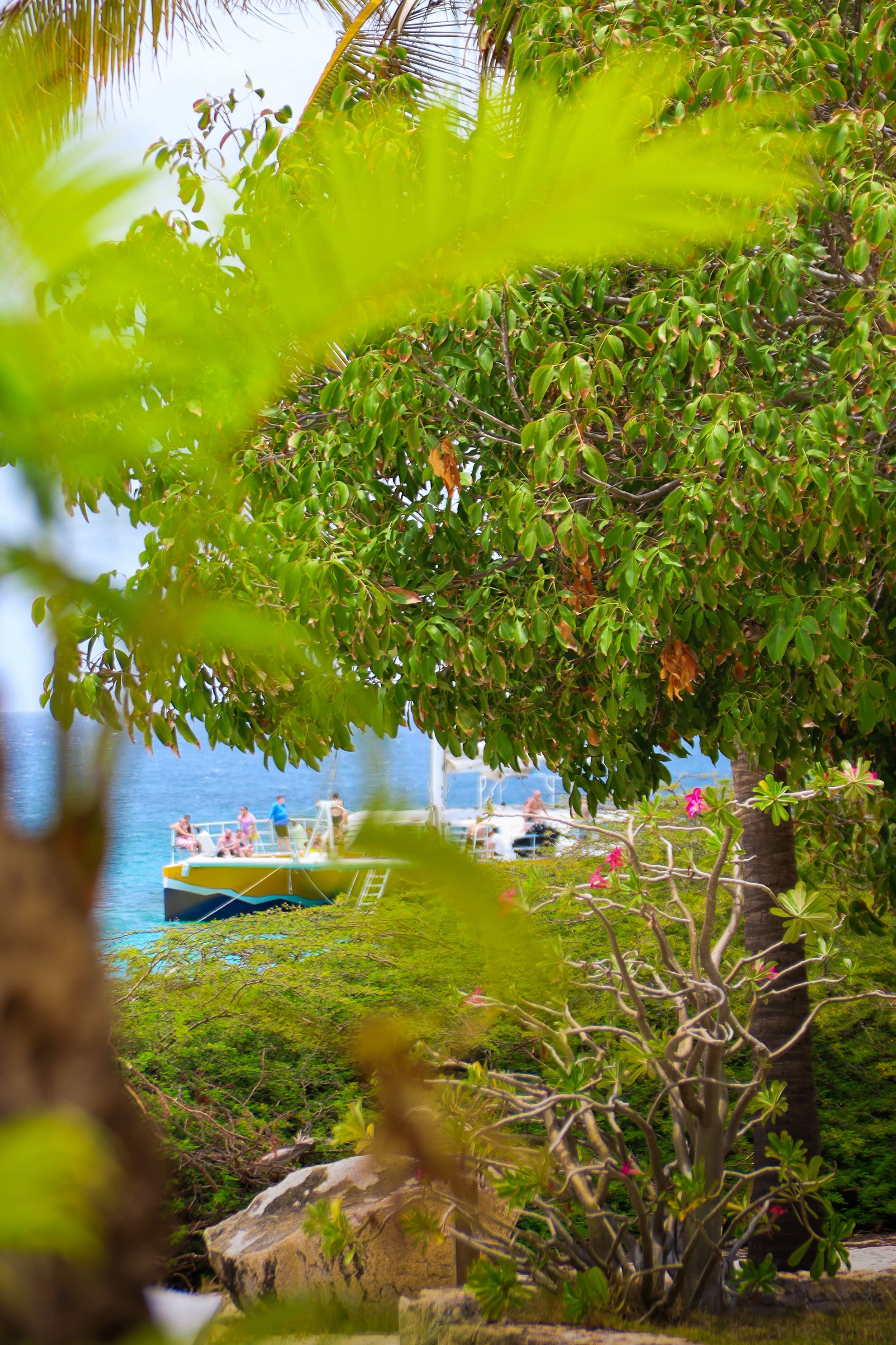 catamaran-tourists-docked-aruba-beach.jpg