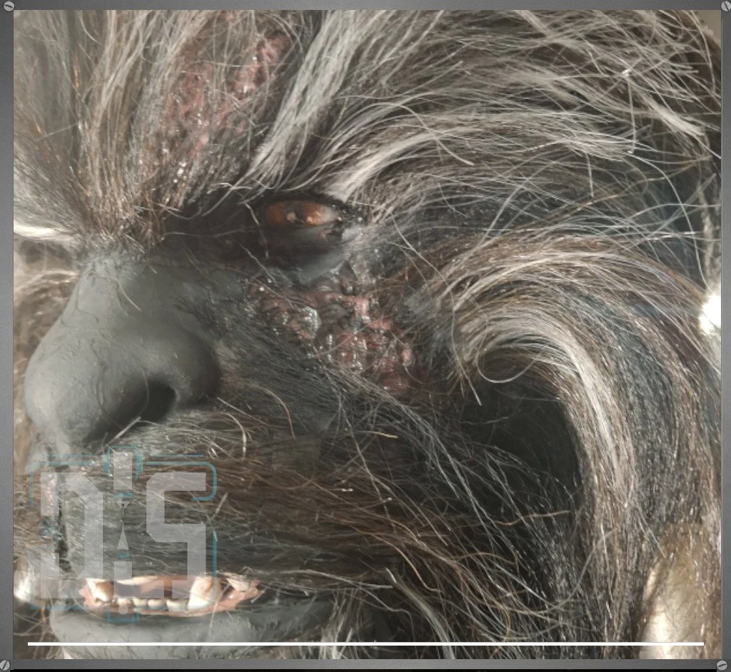 Case Study 01 | Retail Conversion Study