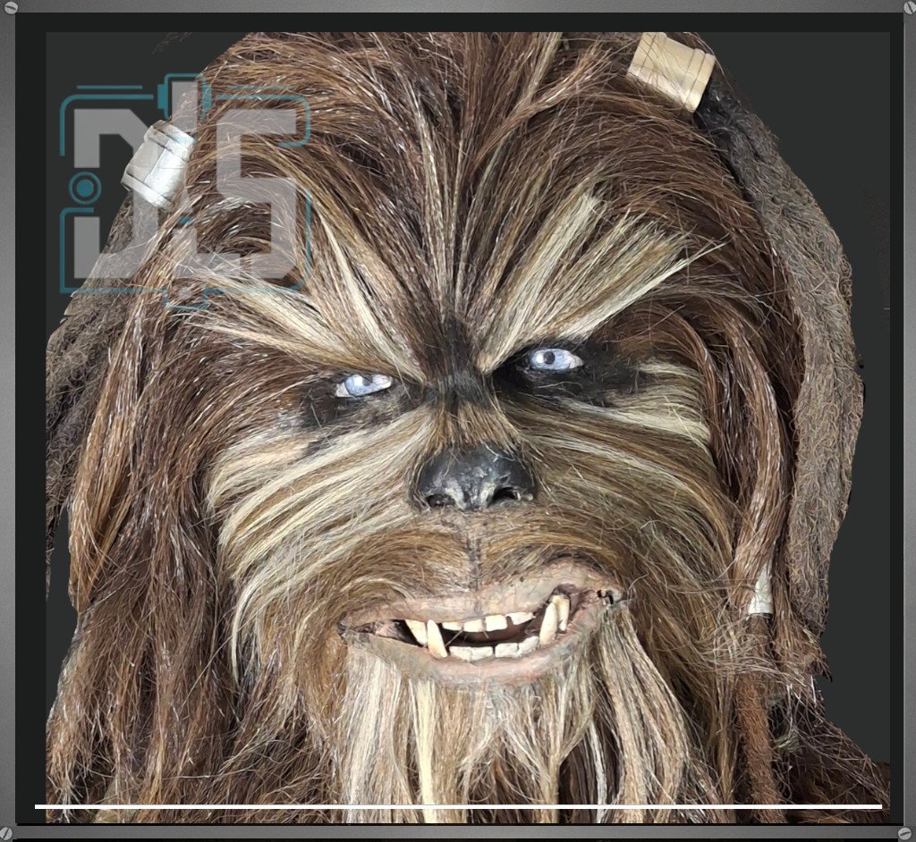 Case Study 03 | Retail Conversion Study (2)-Tarfful