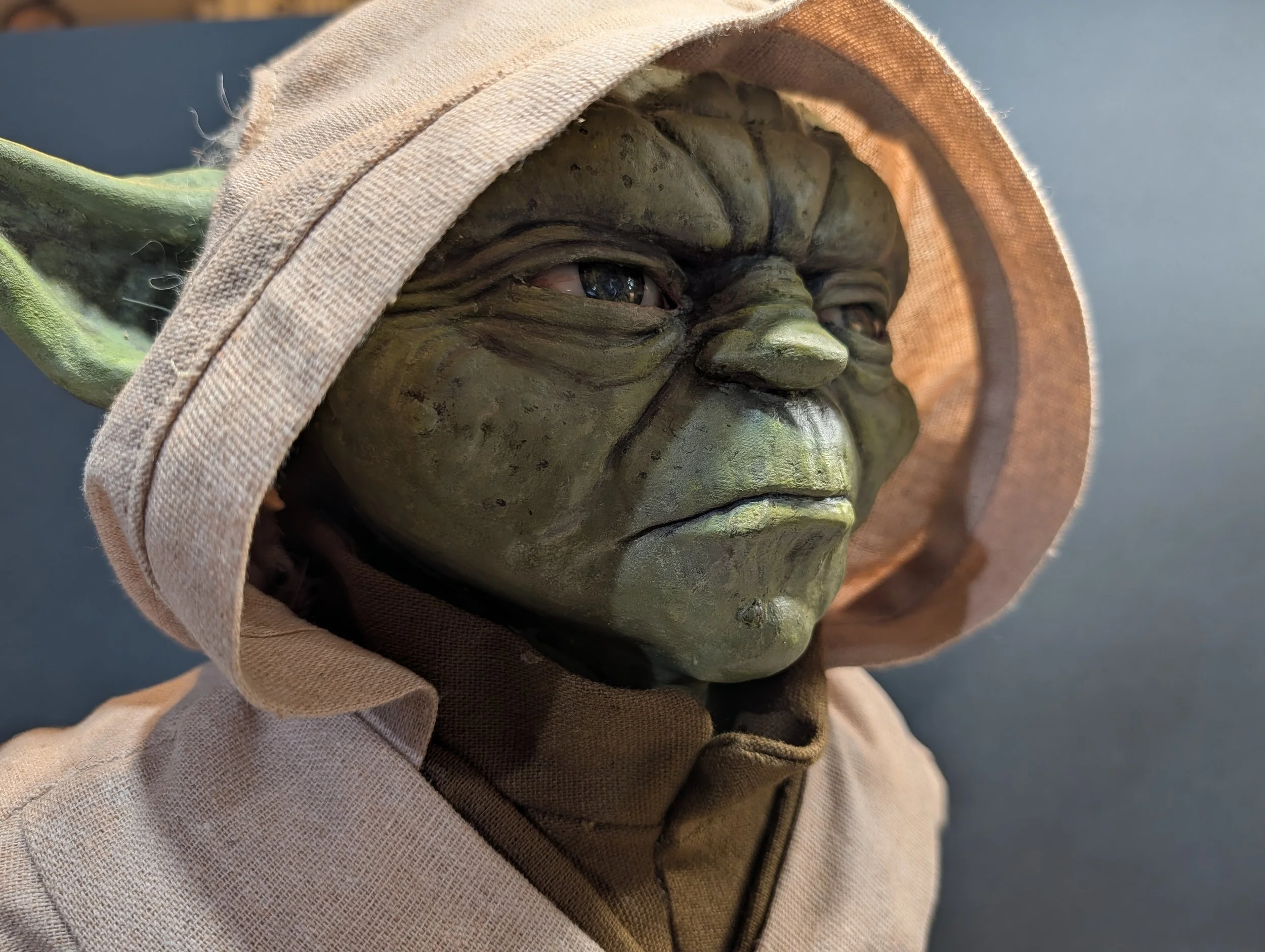 GRAND MASTER YODA: PRE-FALL JEDI LAST STAND//