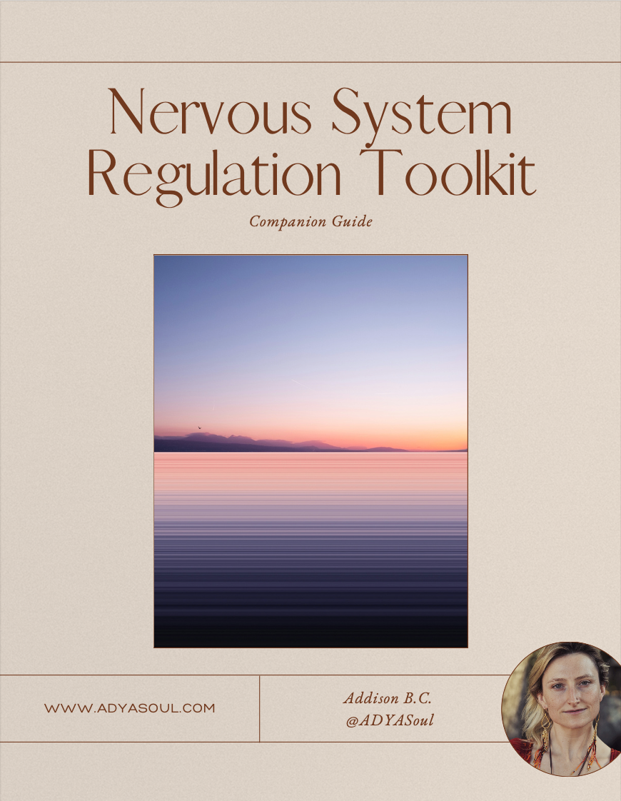 Nervous System Regulation Toolkit