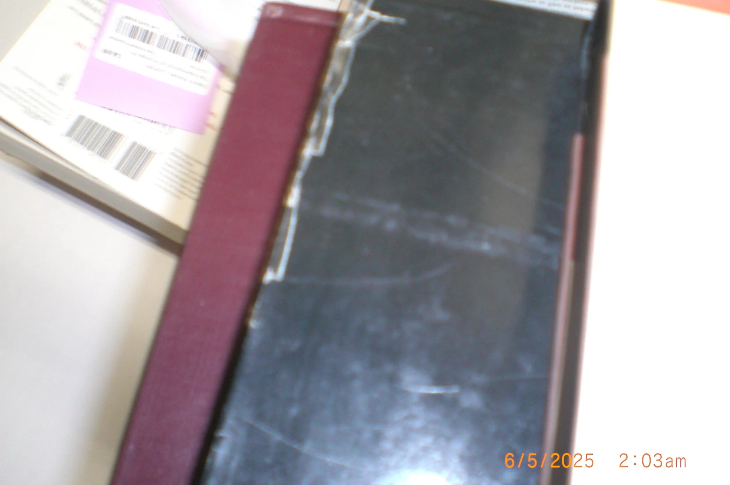 CIMG2687.JPG