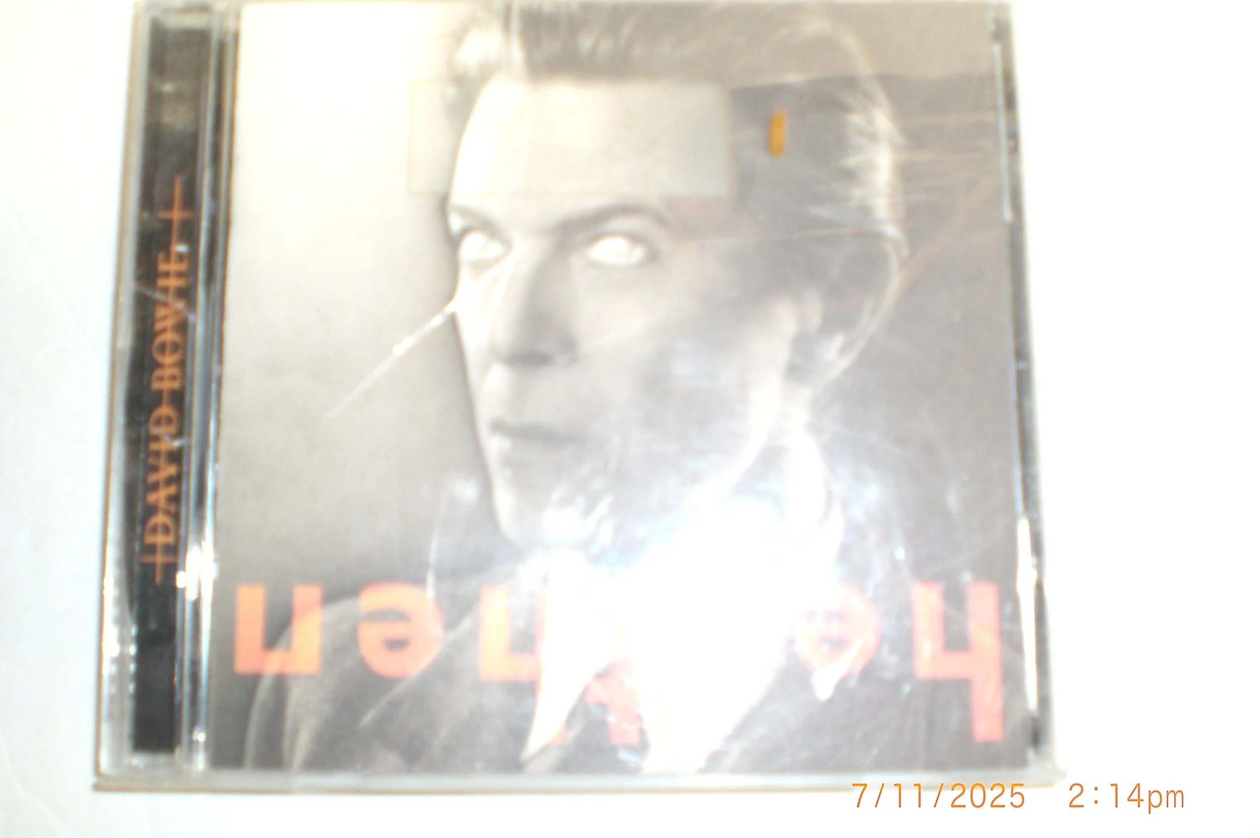CIMG0307.JPG