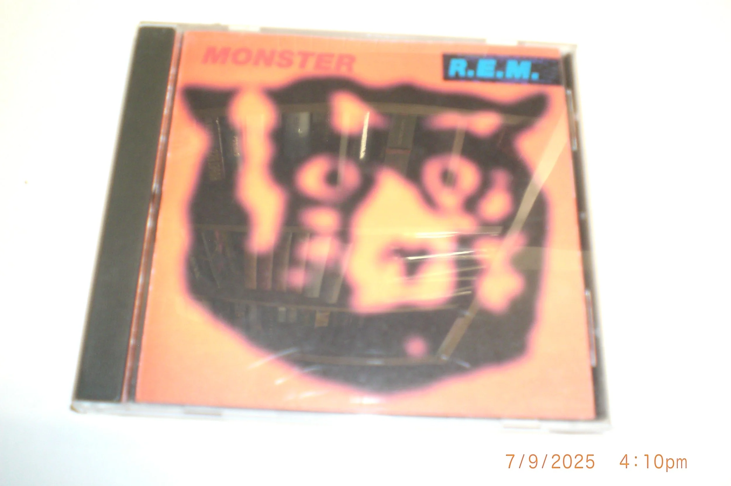 CIMG0242.JPG