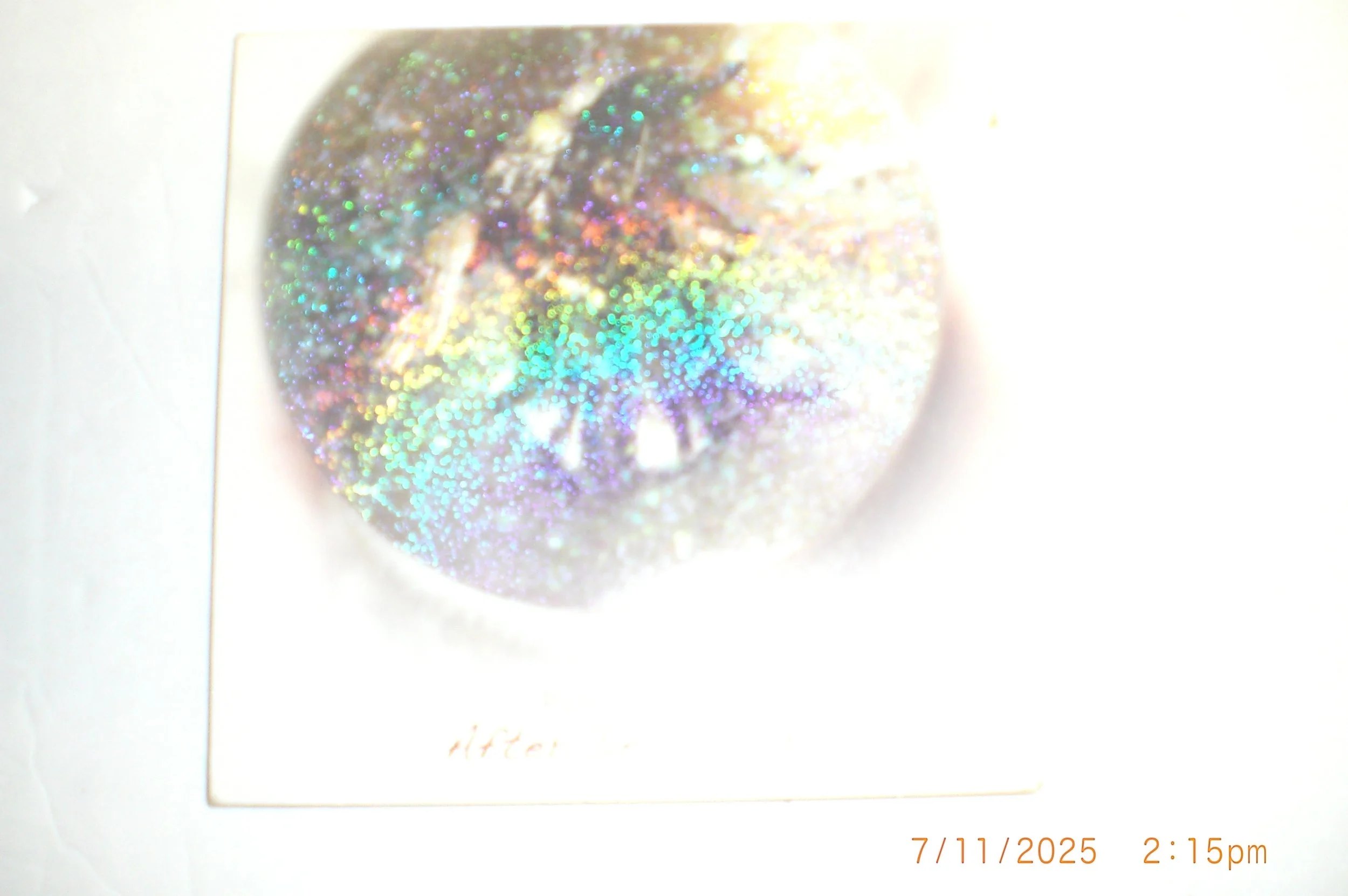 CIMG0308.JPG