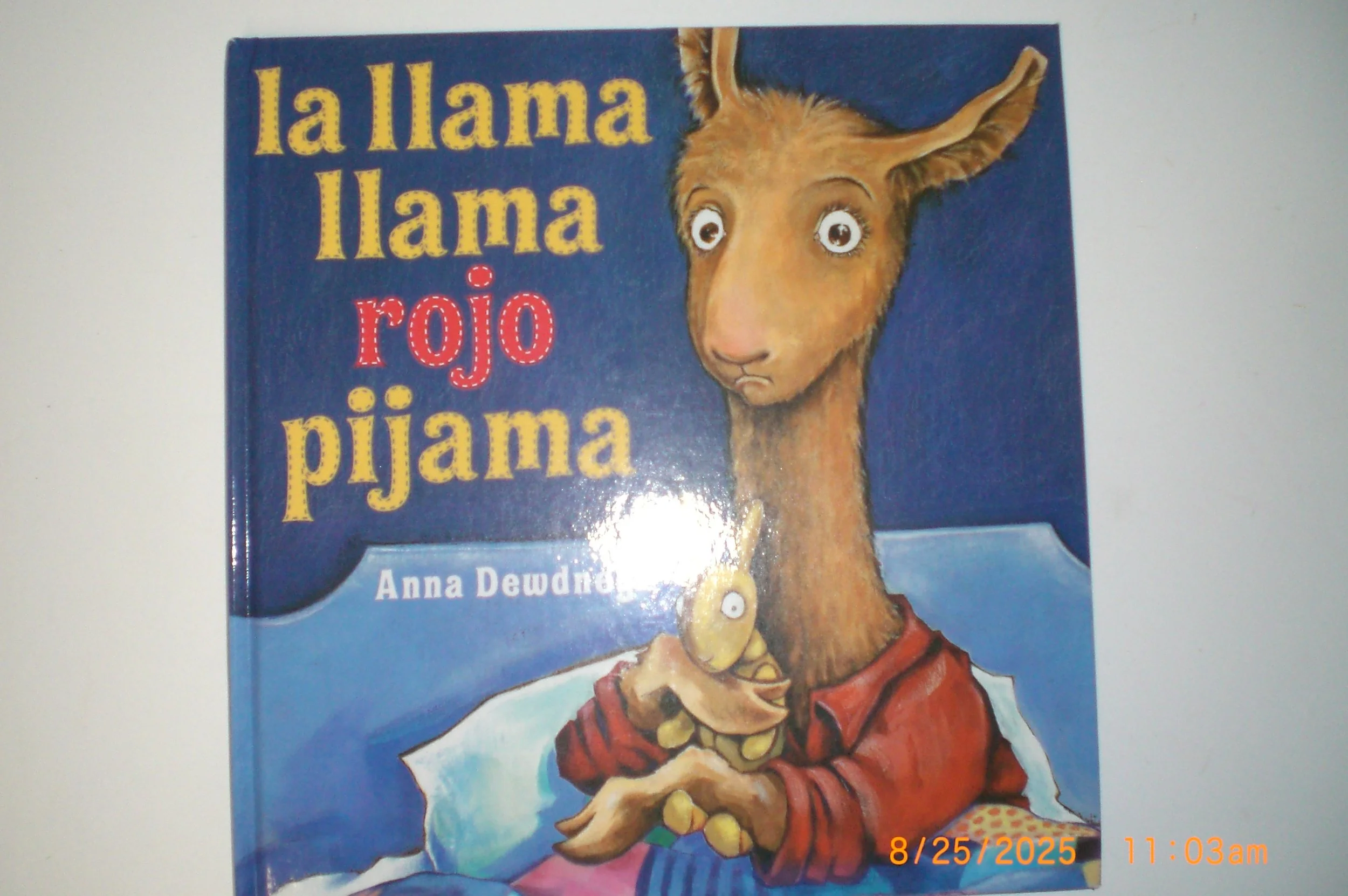 CIMG9999.JPG
