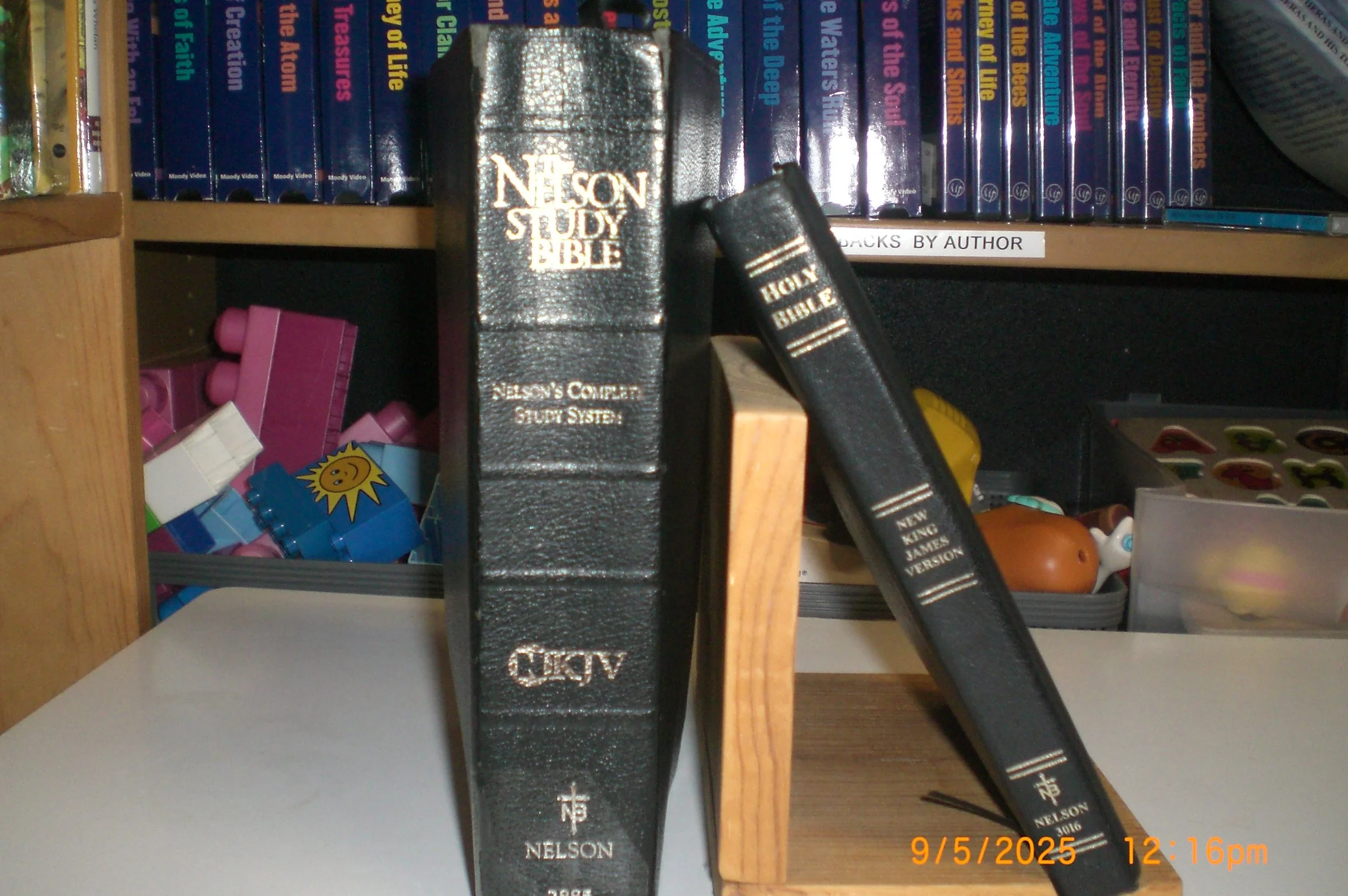 CIMG0411.JPG