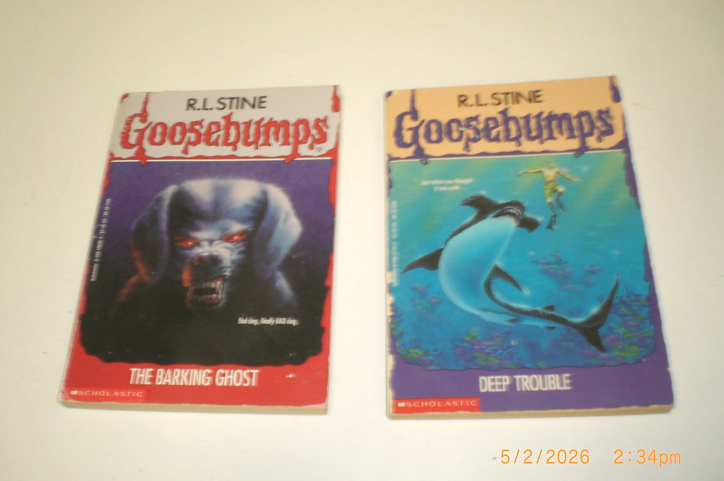 CIMG3906.JPG