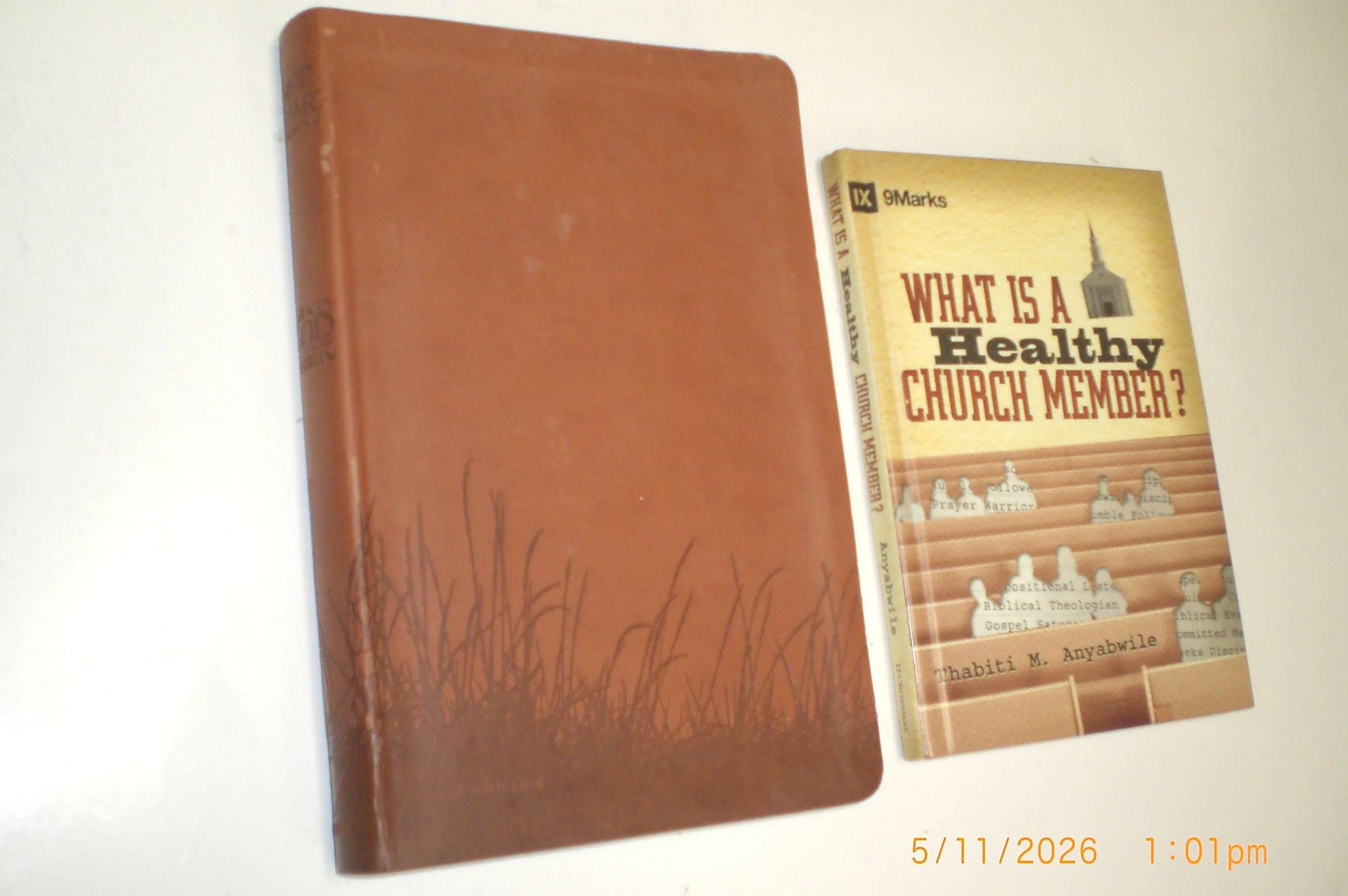 CIMG4447.JPG