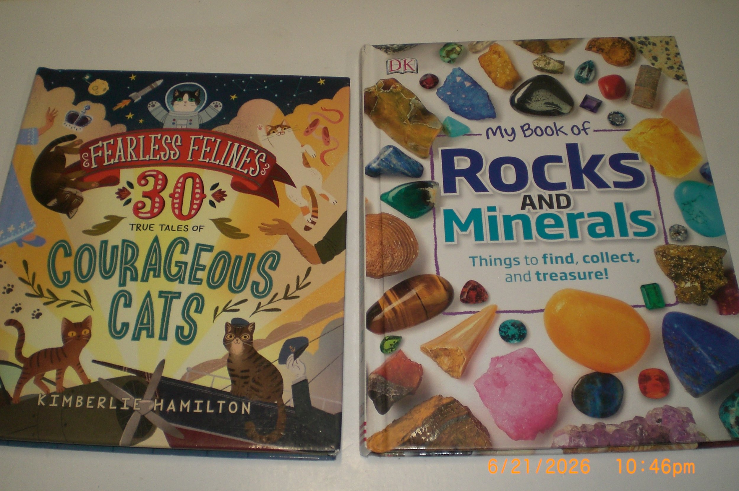 CIMG6979.JPG