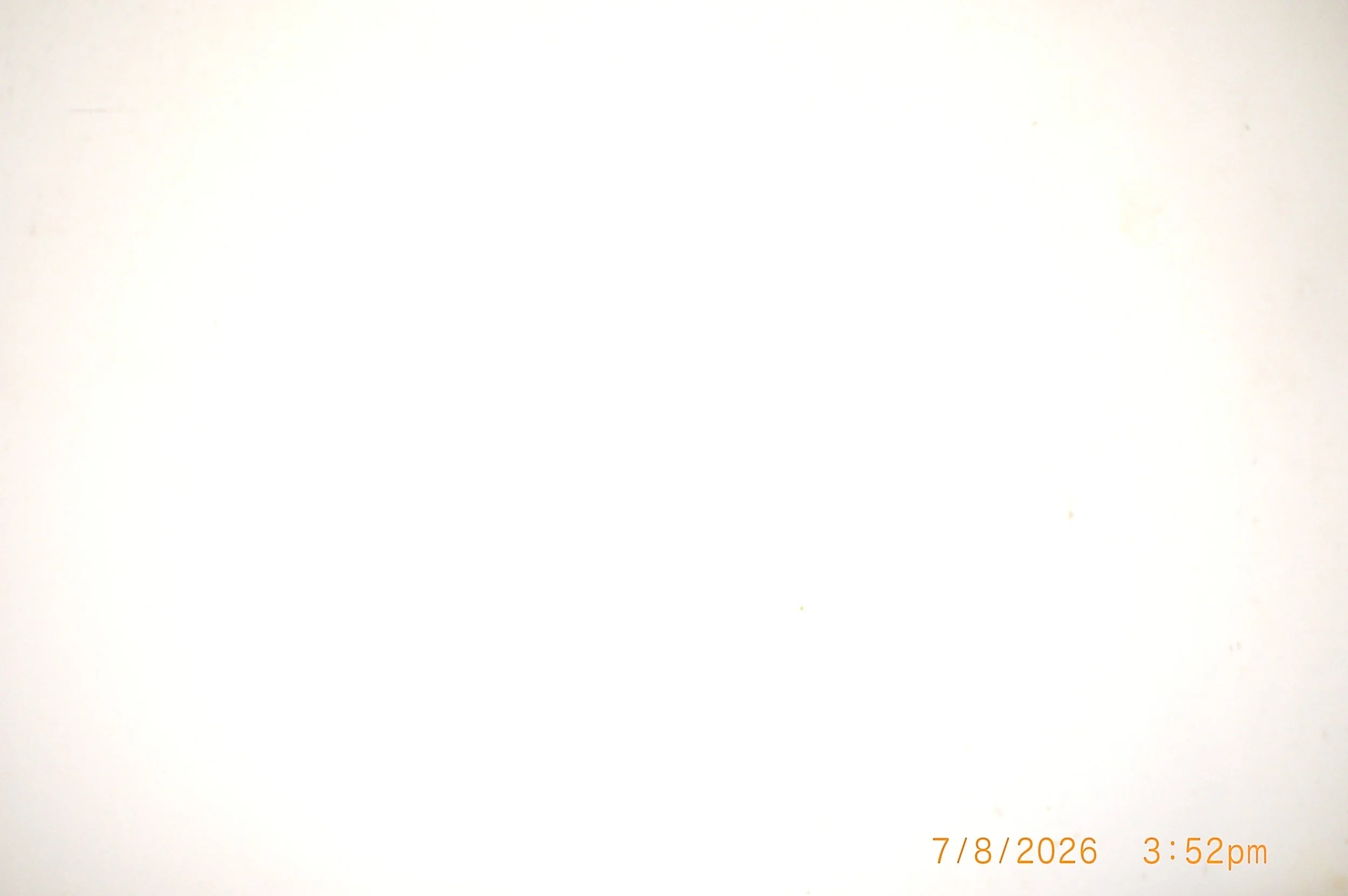 CIMG7953.JPG
