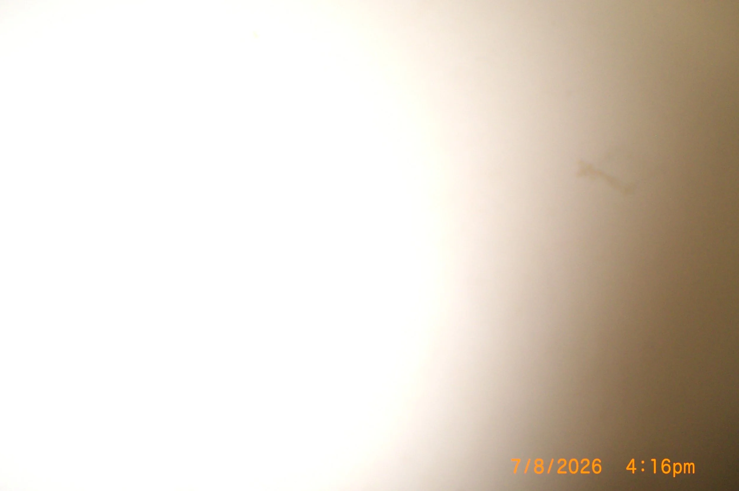 CIMG7975.JPG