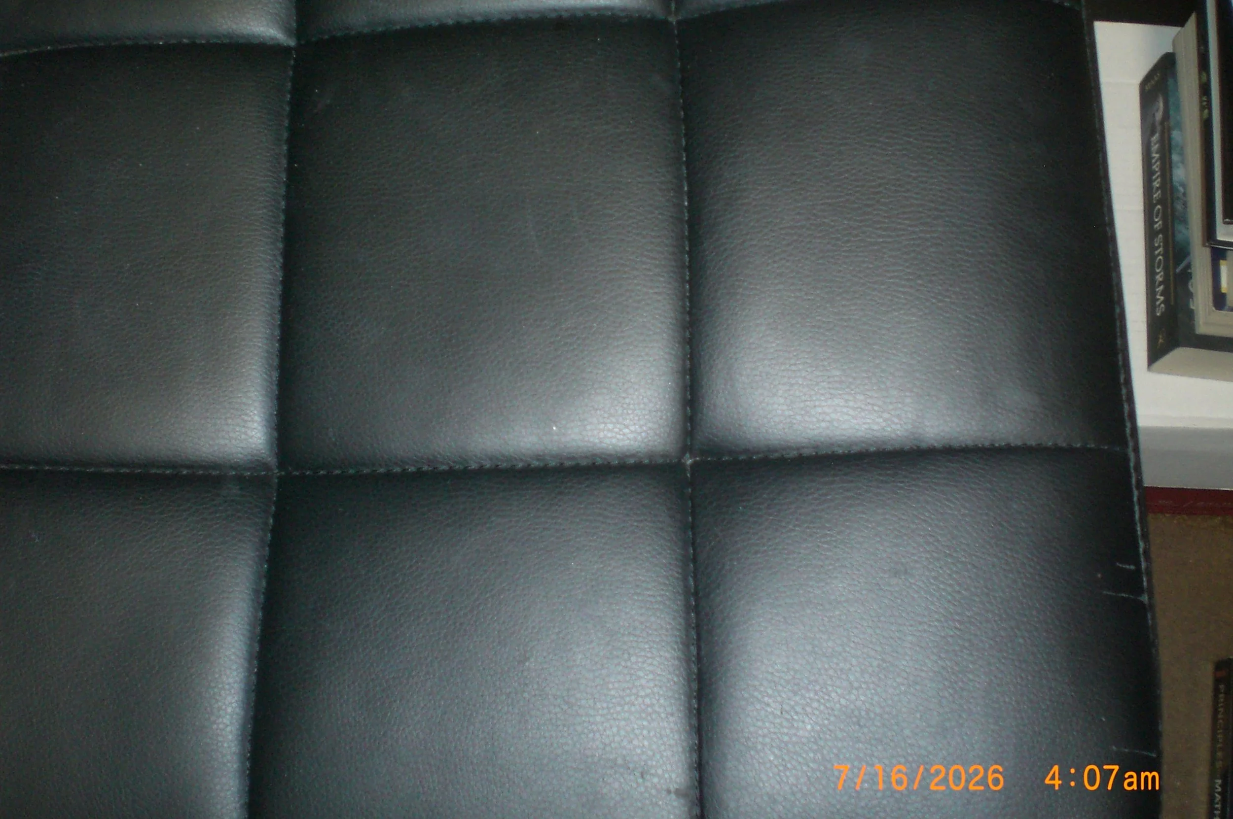 CIMG8522.JPG
