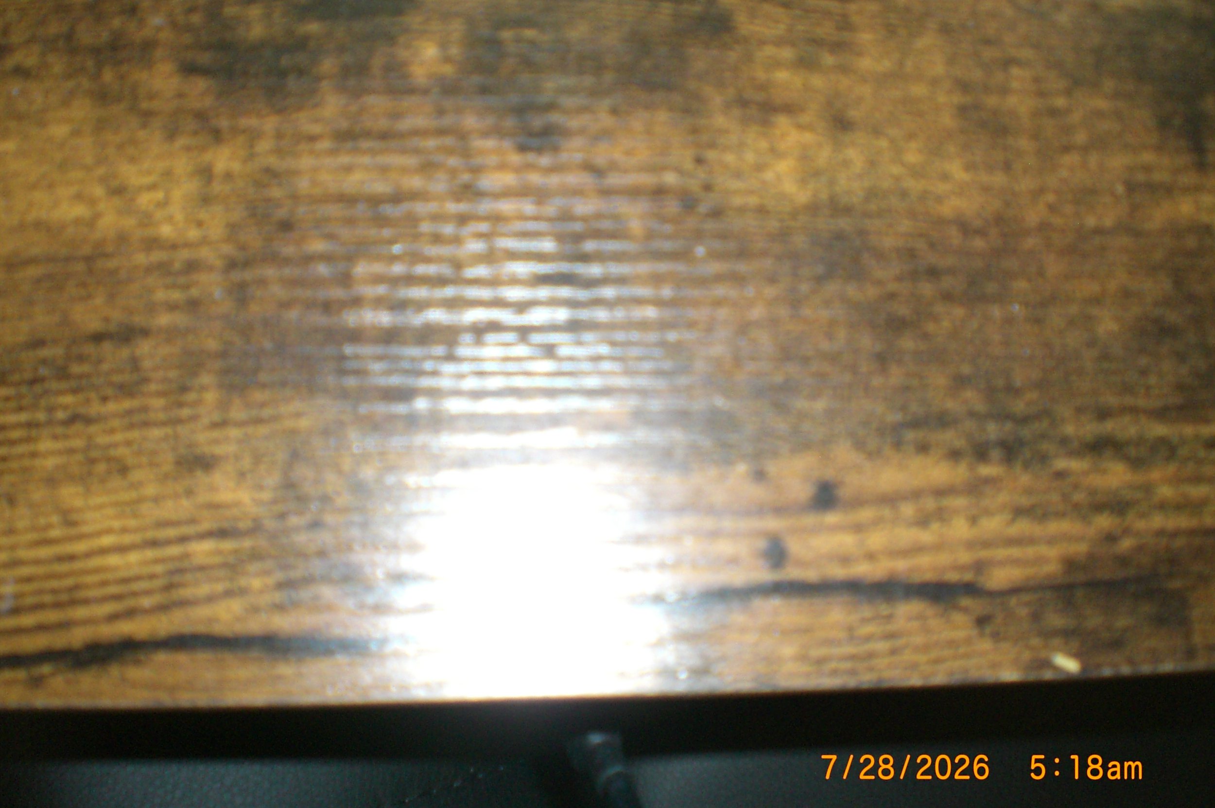 CIMG9278.JPG