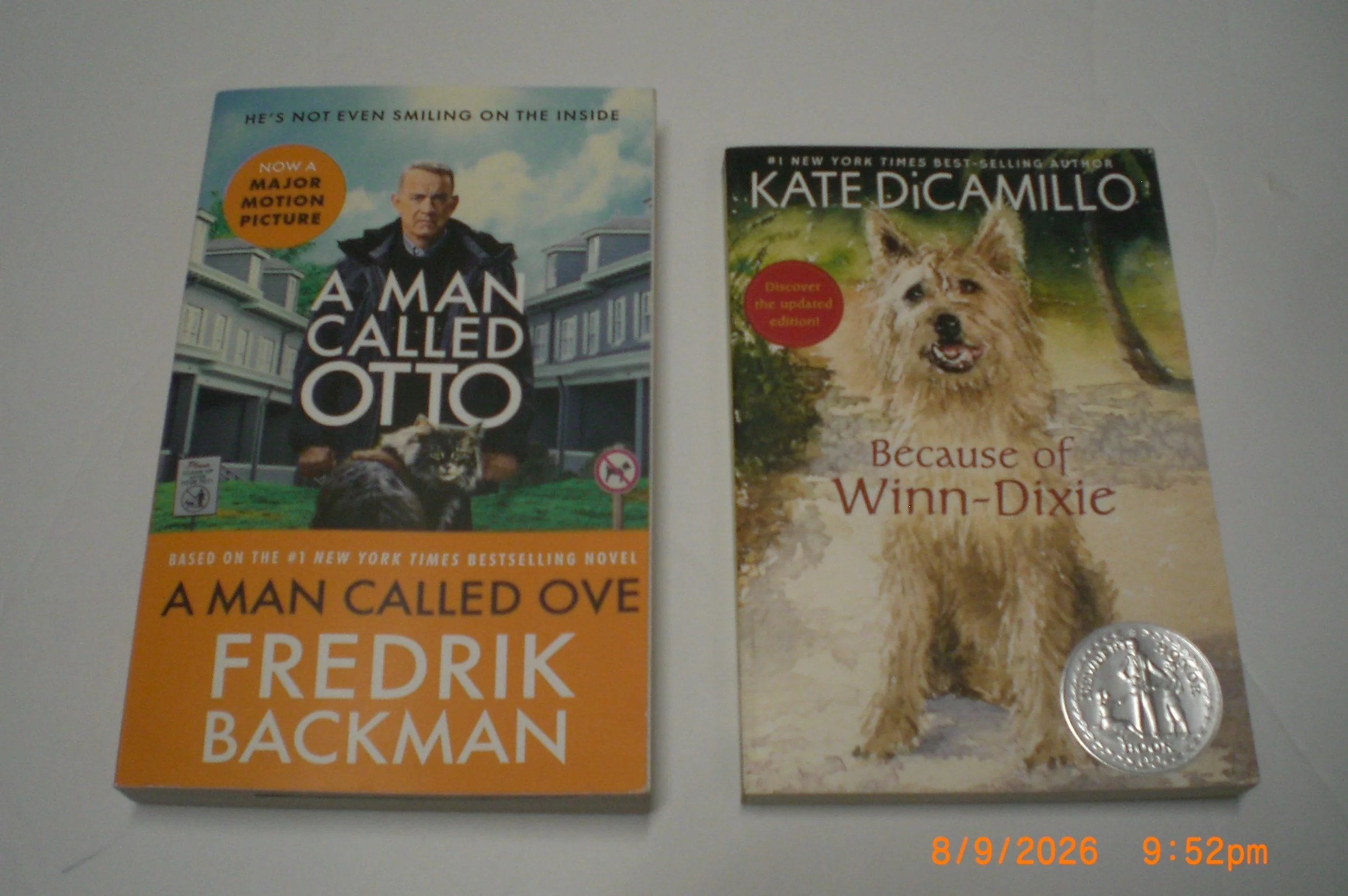 CIMG0107.JPG