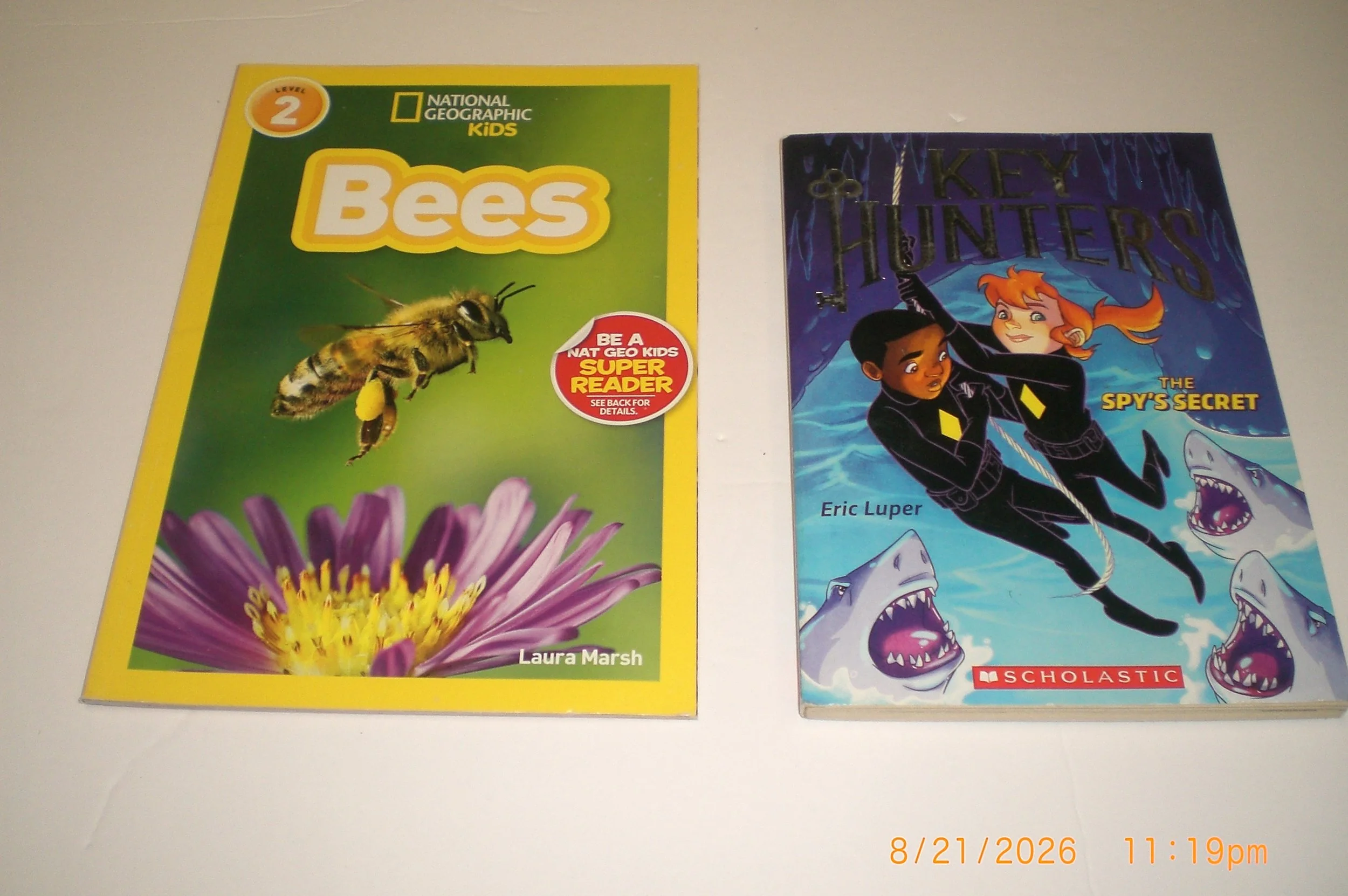 CIMG0731.JPG