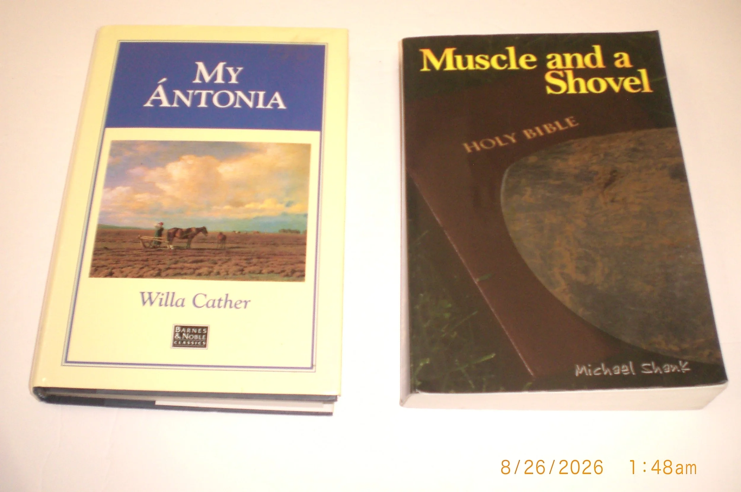 CIMG1260.JPG