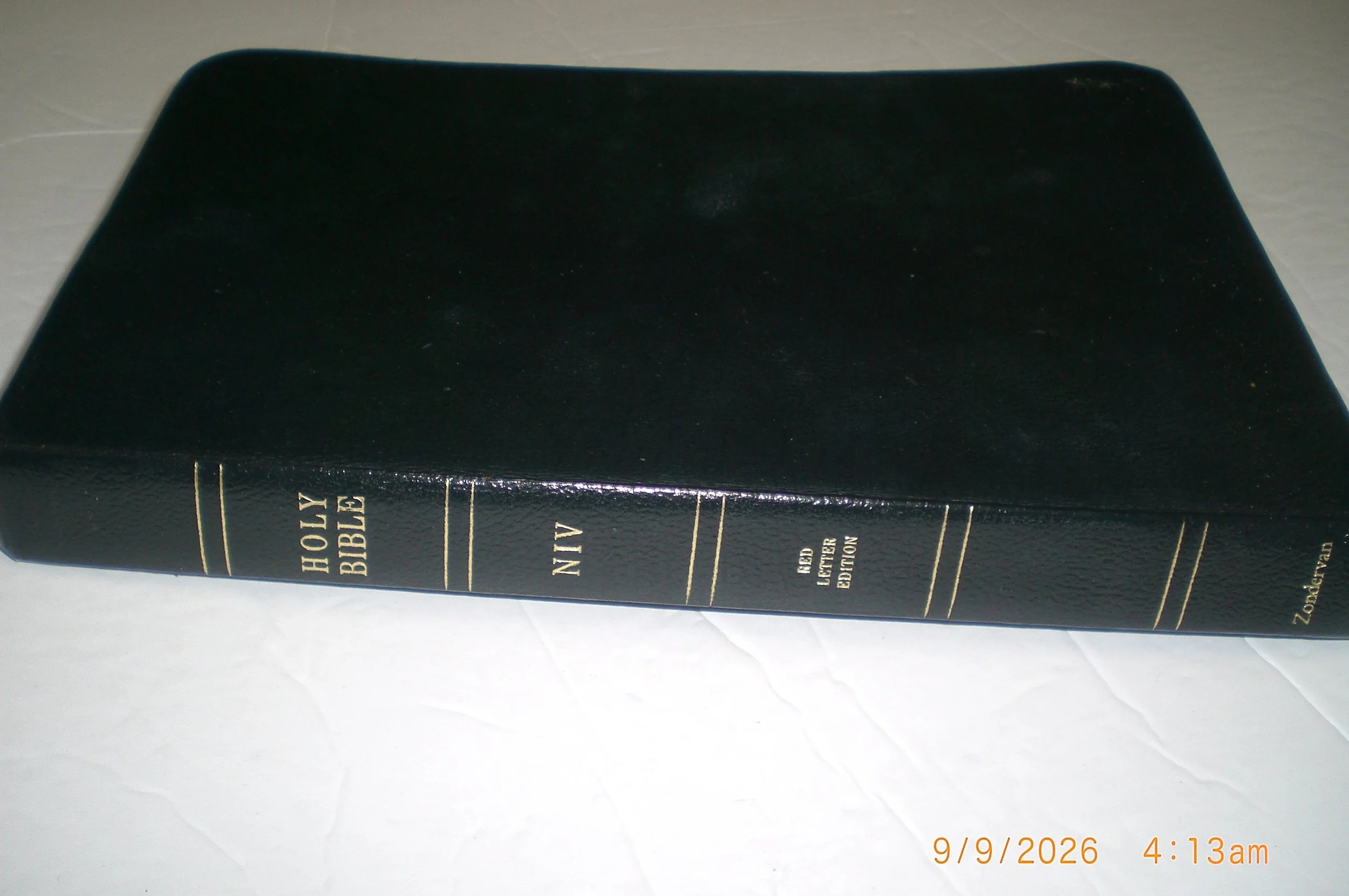 CIMG2491.JPG