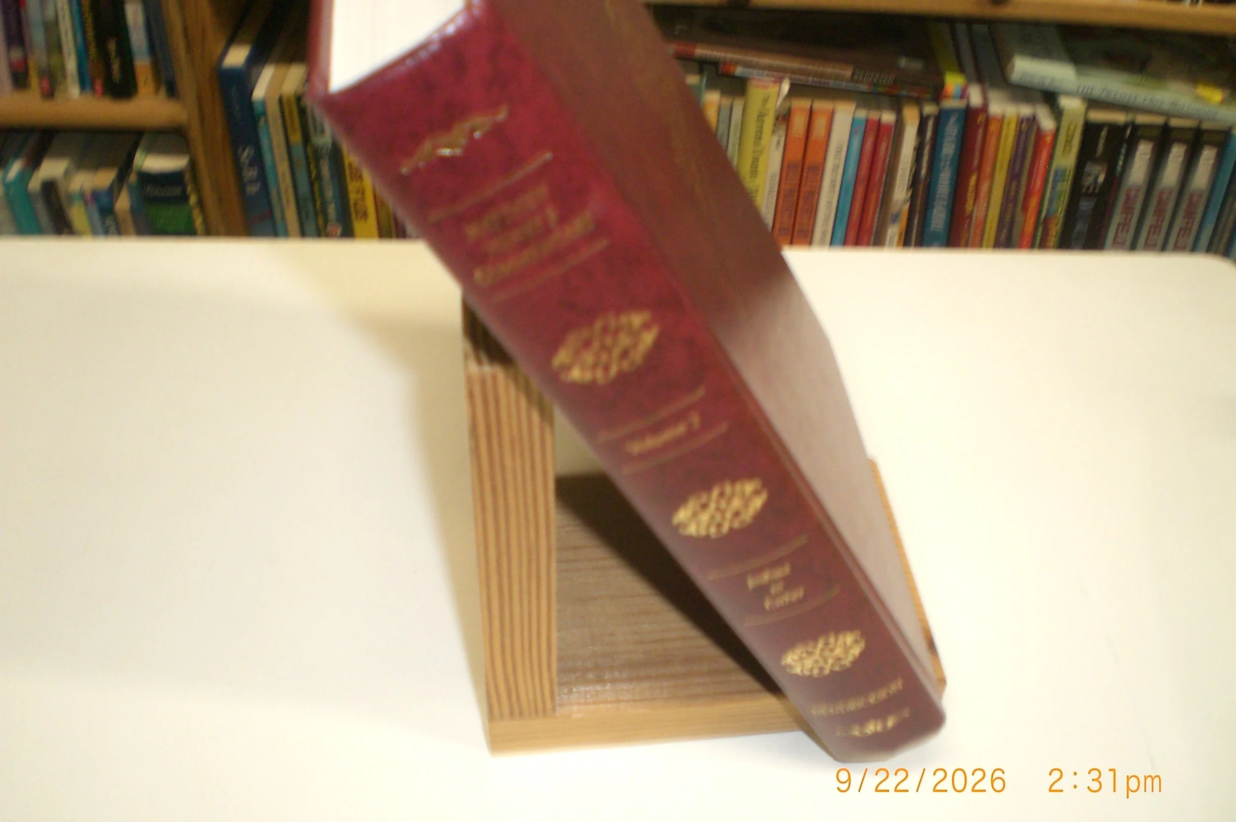 CIMG2851.JPG