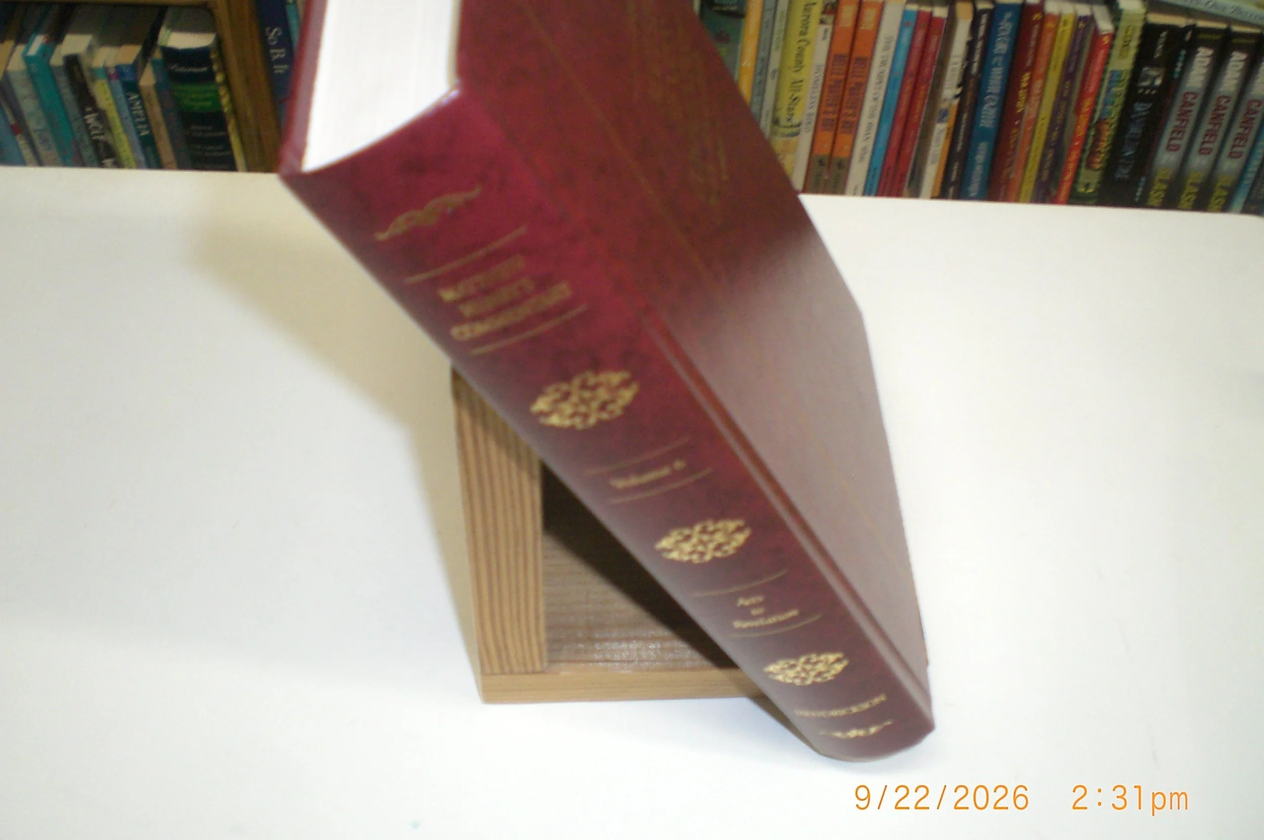 CIMG2852.JPG