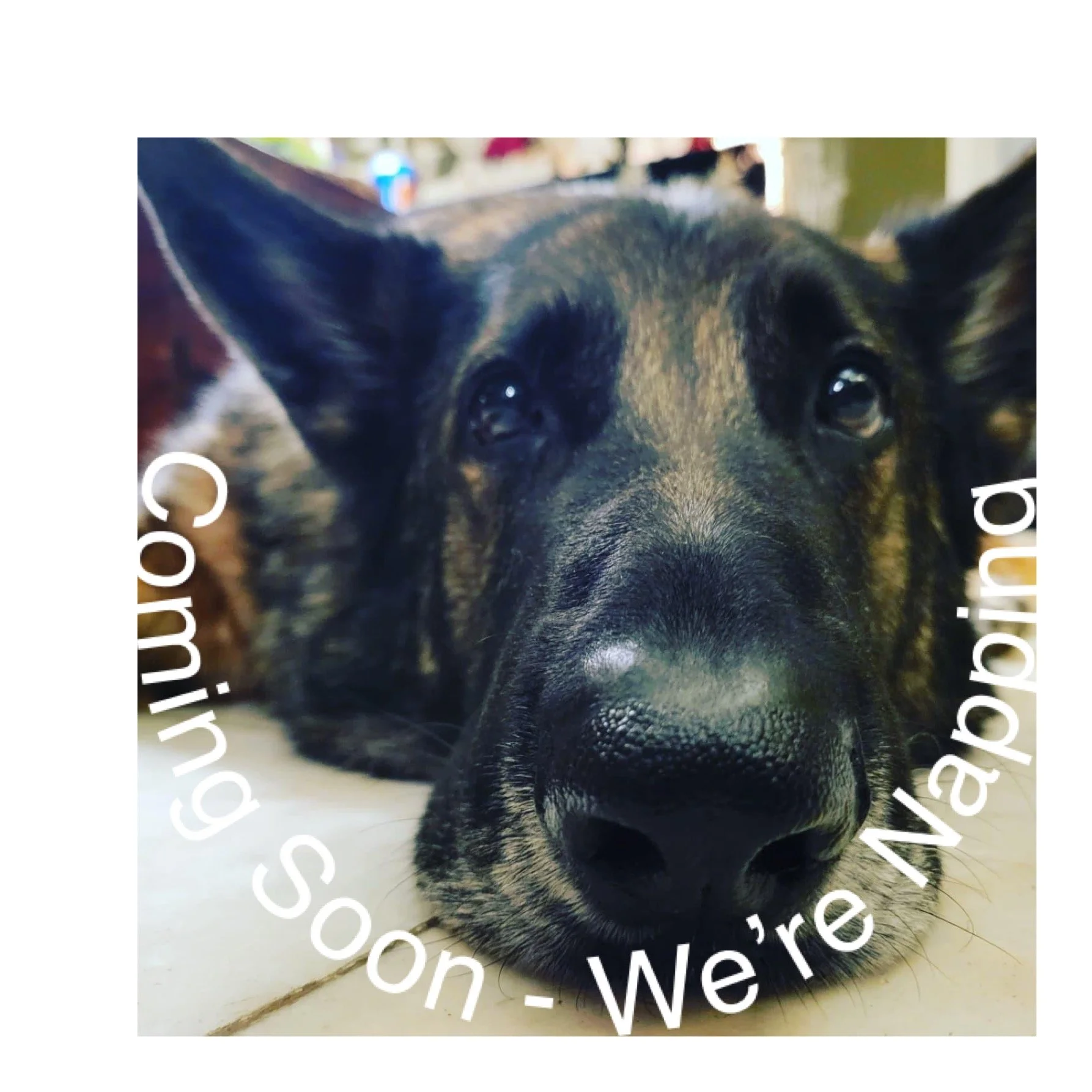 Smells Like Roses -- COMING SOON