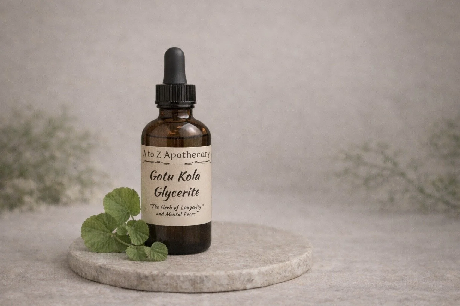 Gotu Kola Glycerite - “The Herb of Longevity” and Mental Focus