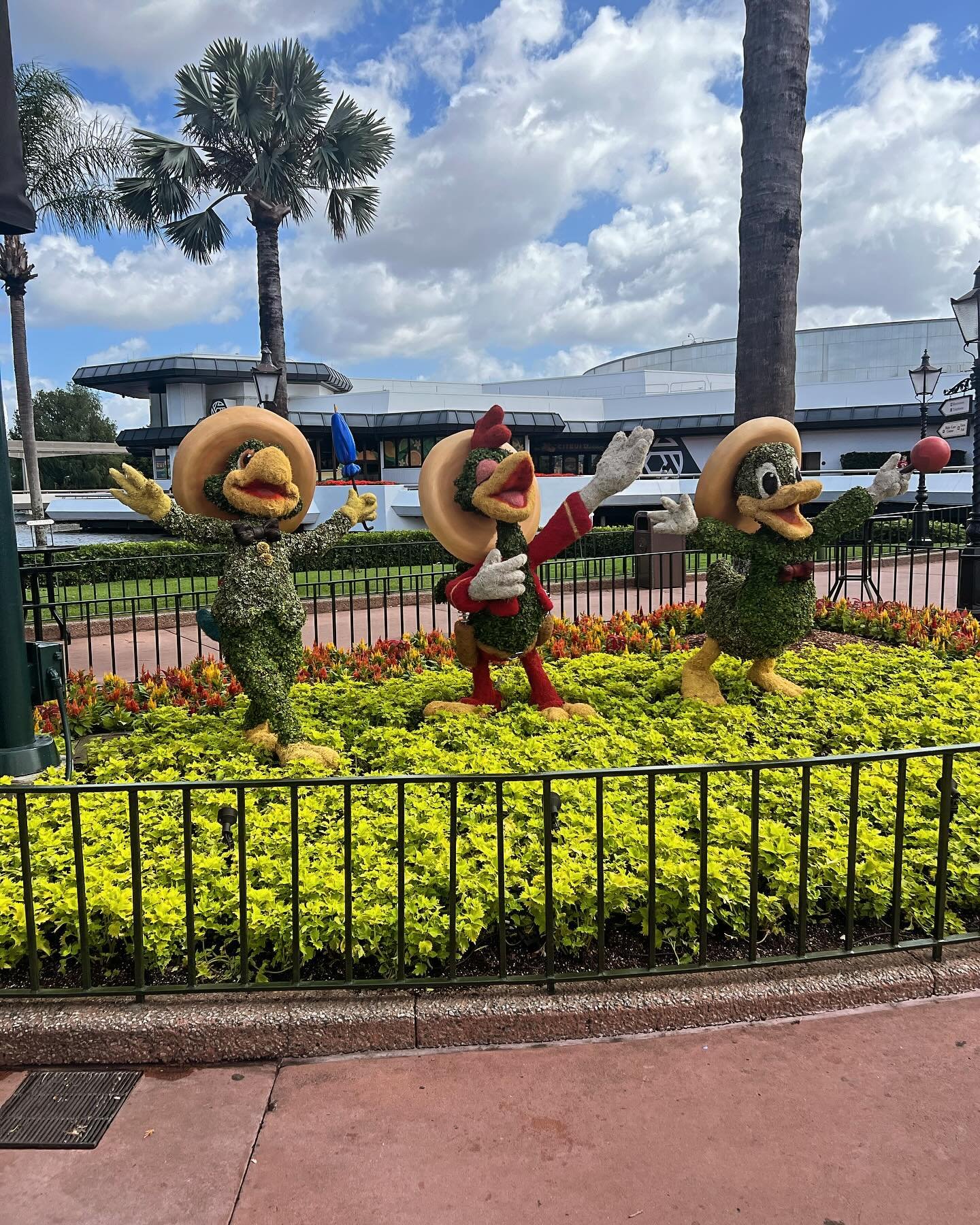 When your Disney trip is coming up and you constantly scroll through your photos. 🎶

#disneyworld #wdw #epcot