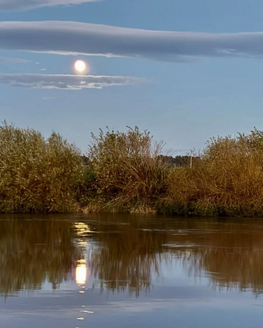 Nature, lore, and history provide endless inspiration&hellip; 🌕🍂

#madeinhighpoint #handmadejewelry #sustainablefashion