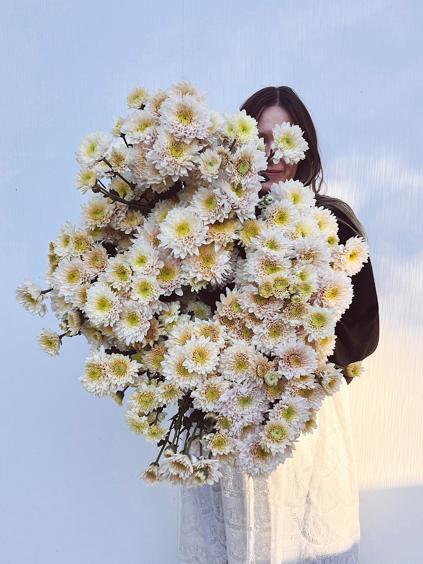 🌼🌼🌼🌼🌼
