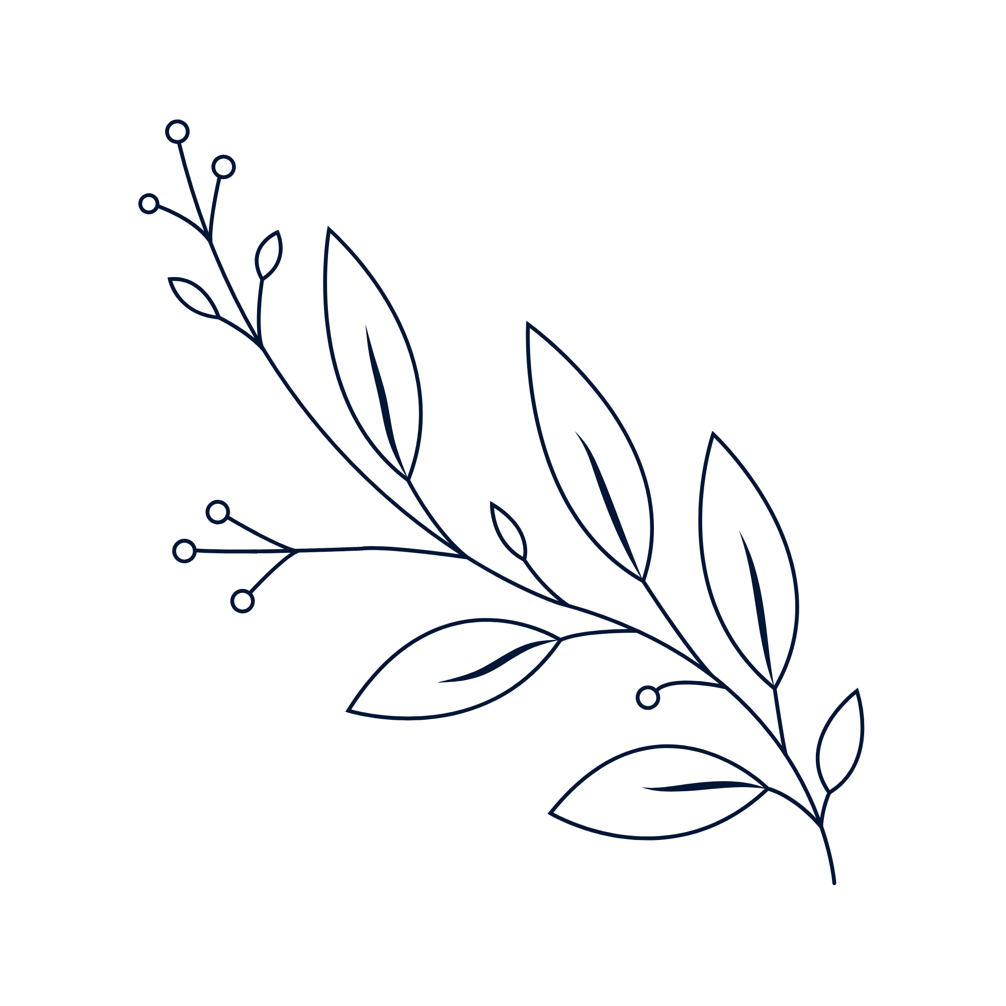 Minimalist dark blue line-art botanical branch with leaves and small circular buds on a black background