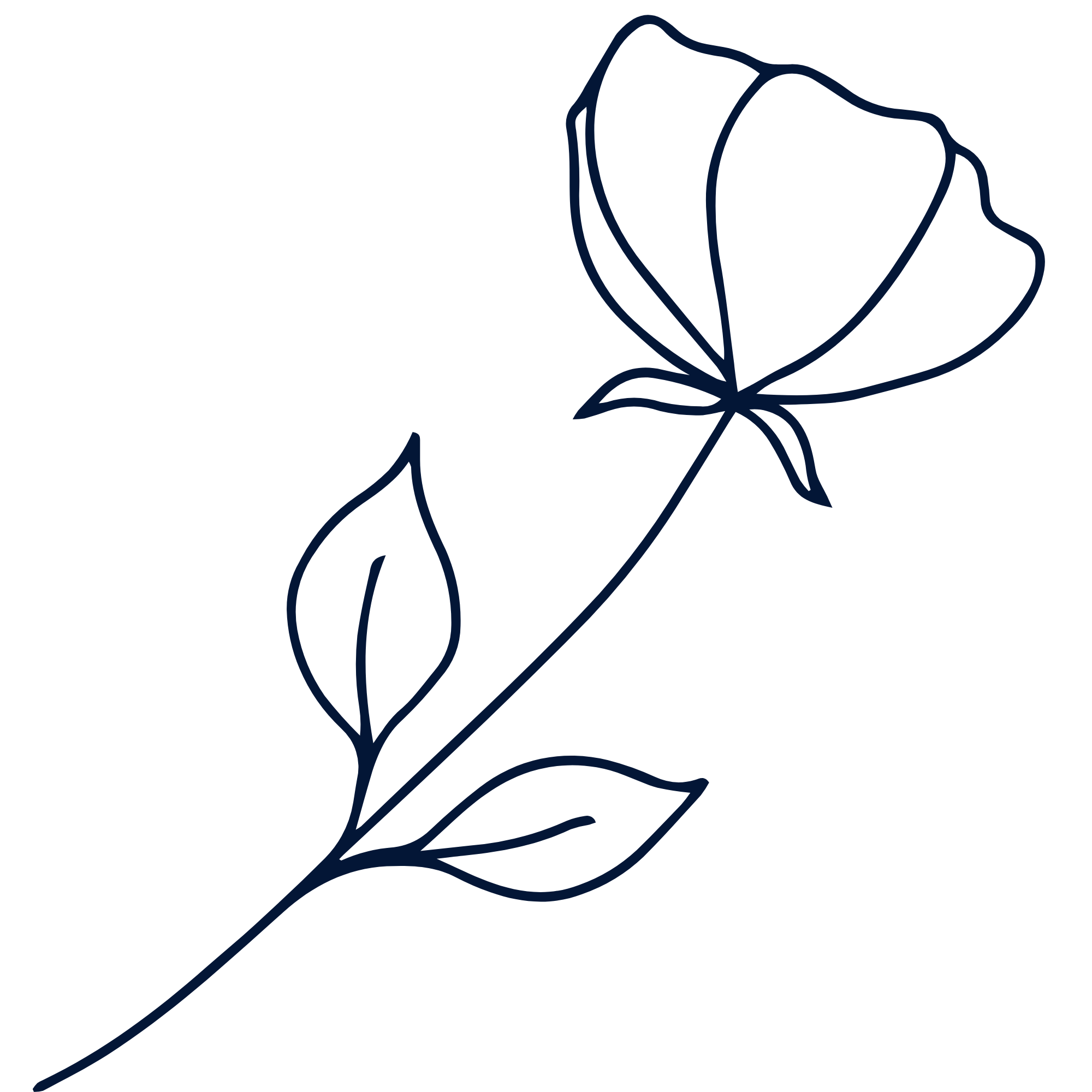 Minimalist dark blue line drawing of a rose with leaves on a black background