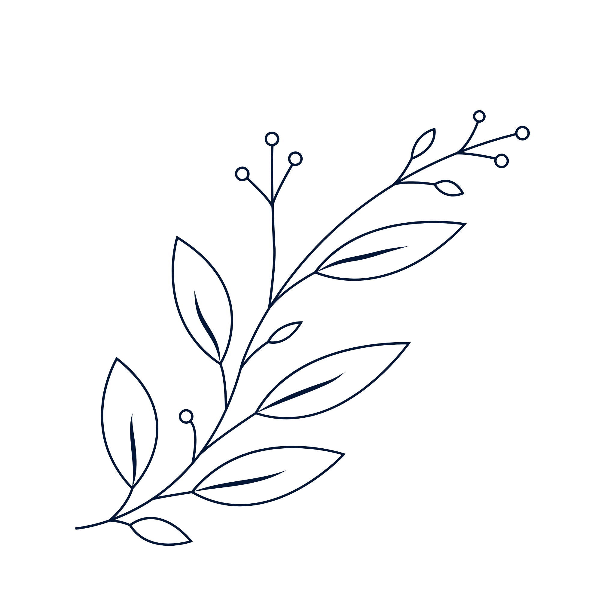 Minimalist dark blue line drawing of a leafy botanical branch with small round buds on a black background