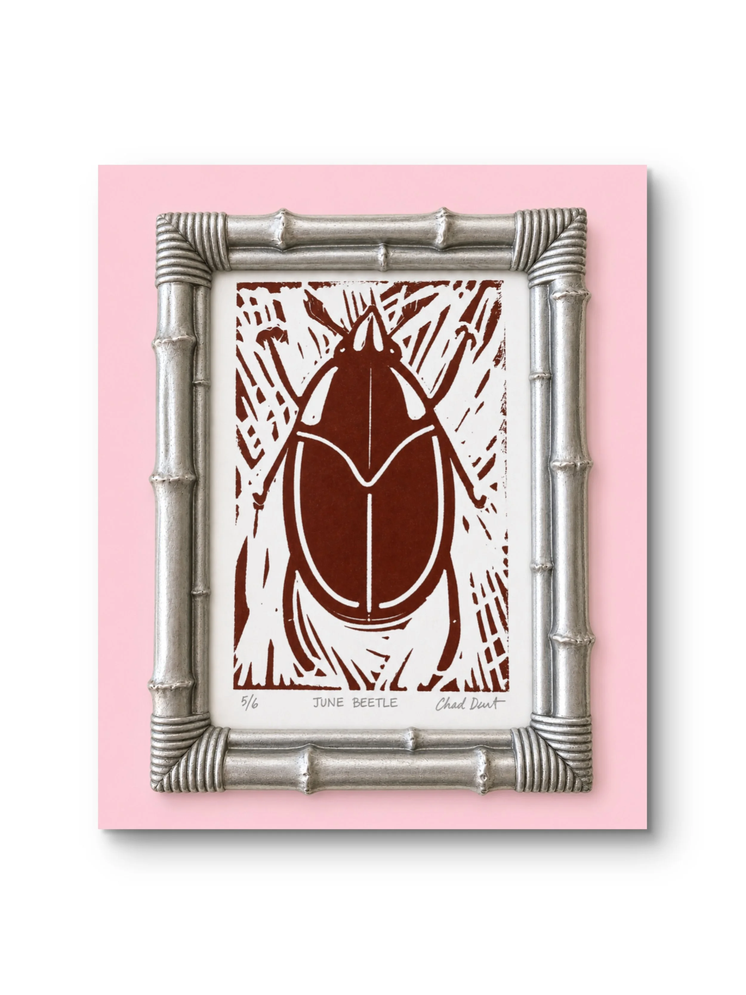 7x5 June Beetle No. 5/6