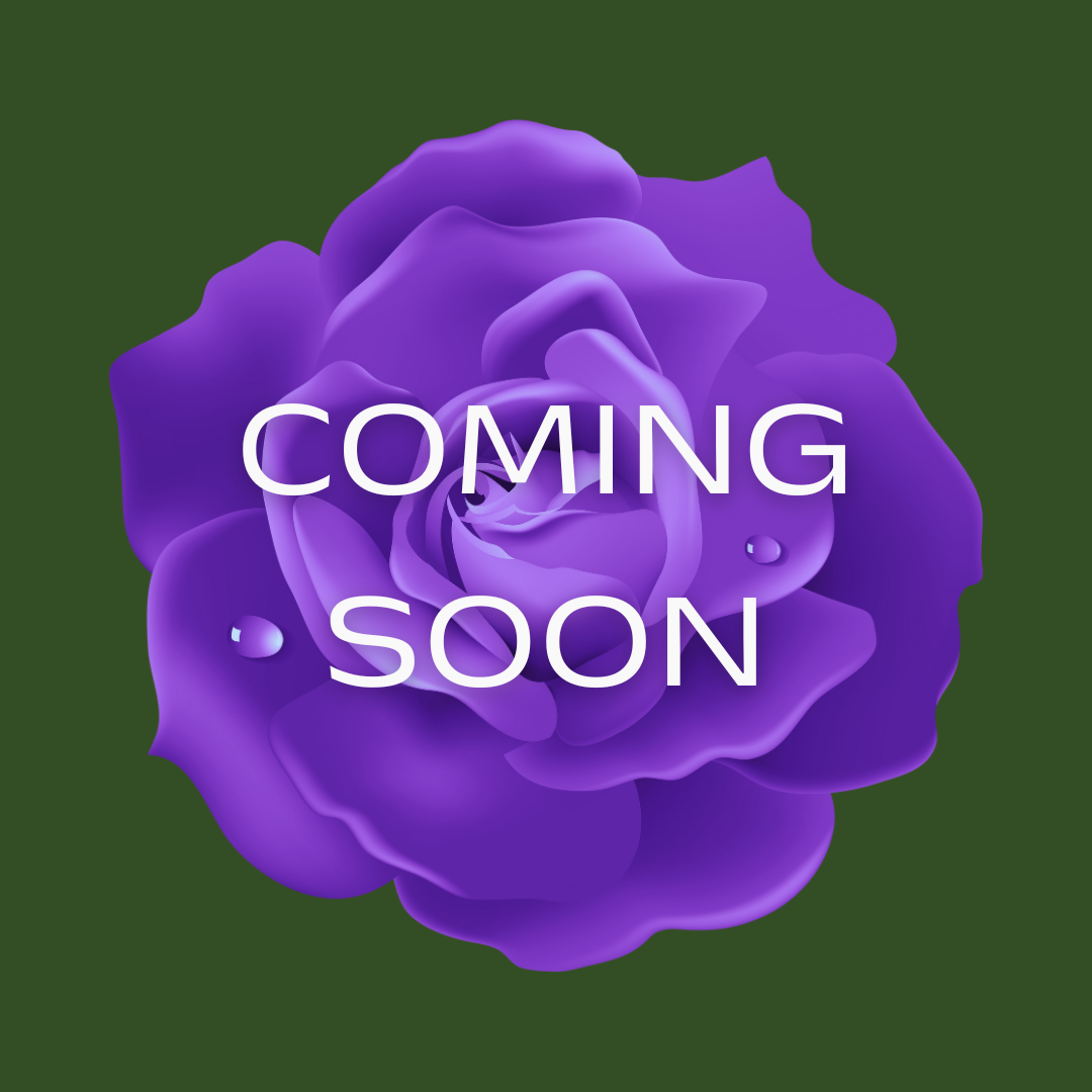 A man with brown hair, glasses, and a beard, wearing a dark green sweater, sitting indoors with a neutral background and a plant in the background.