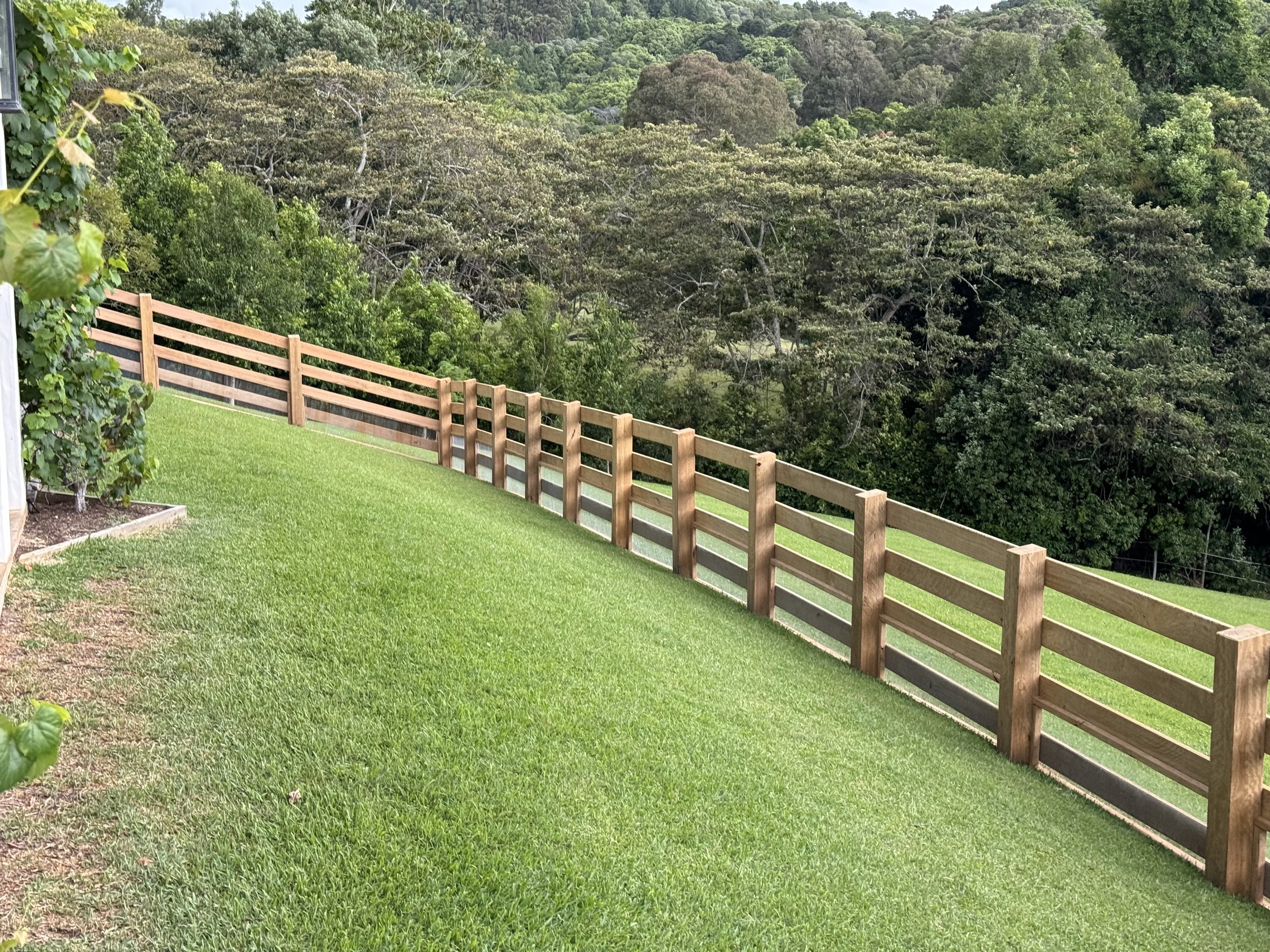 A backyard with a green lawn, a wooden fence, and a dense forest of trees in the background.