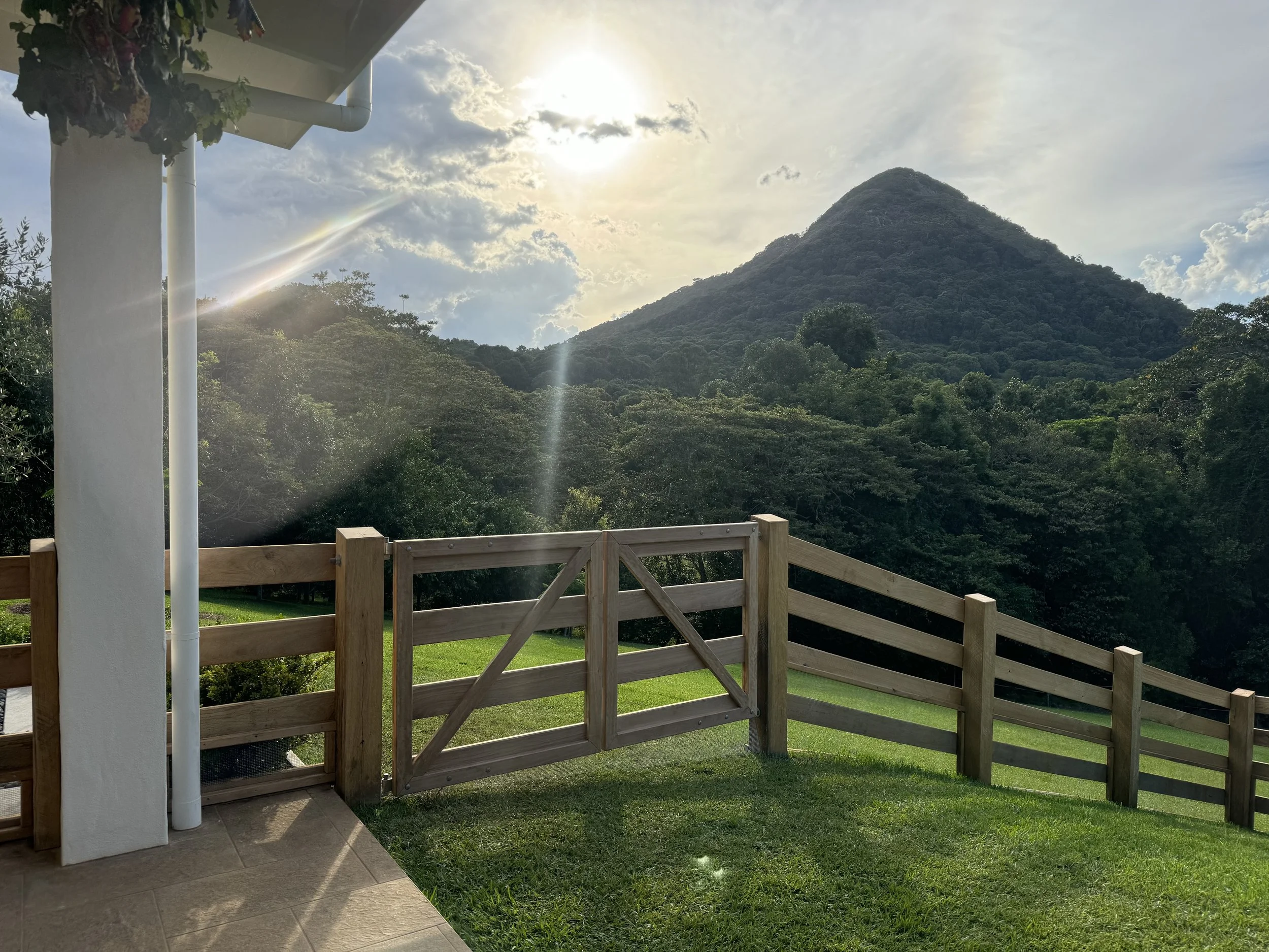 A backyard view with a wooden fence, lush green trees, and a large mountain in the background under a partly cloudy sky with sunlight.