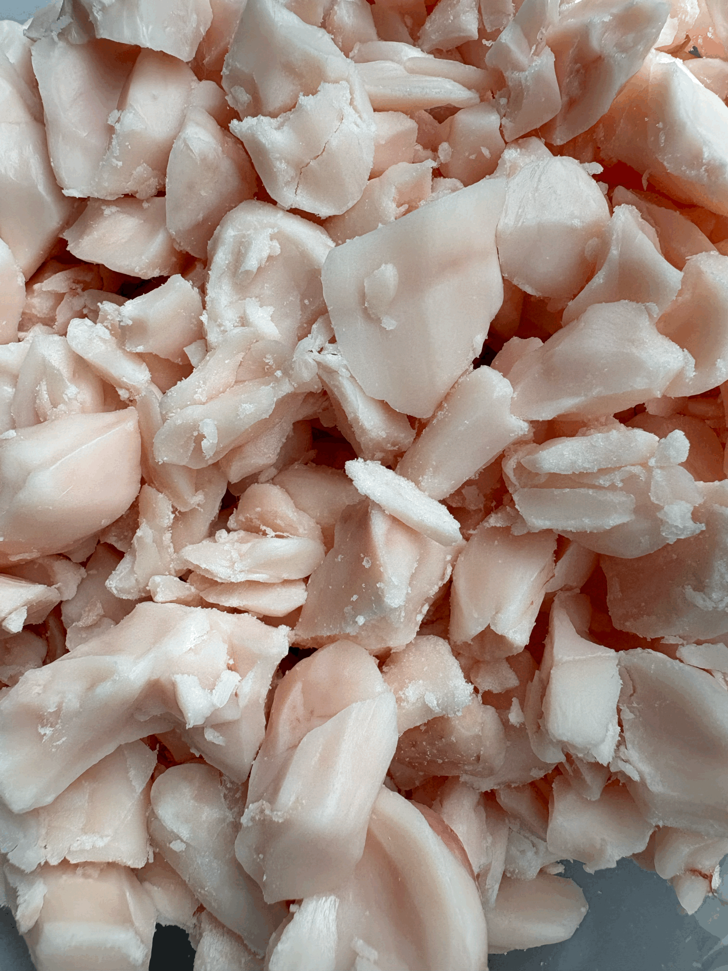 From Bison to Beauty: The Journey of Our North Dakota Bison Tallow