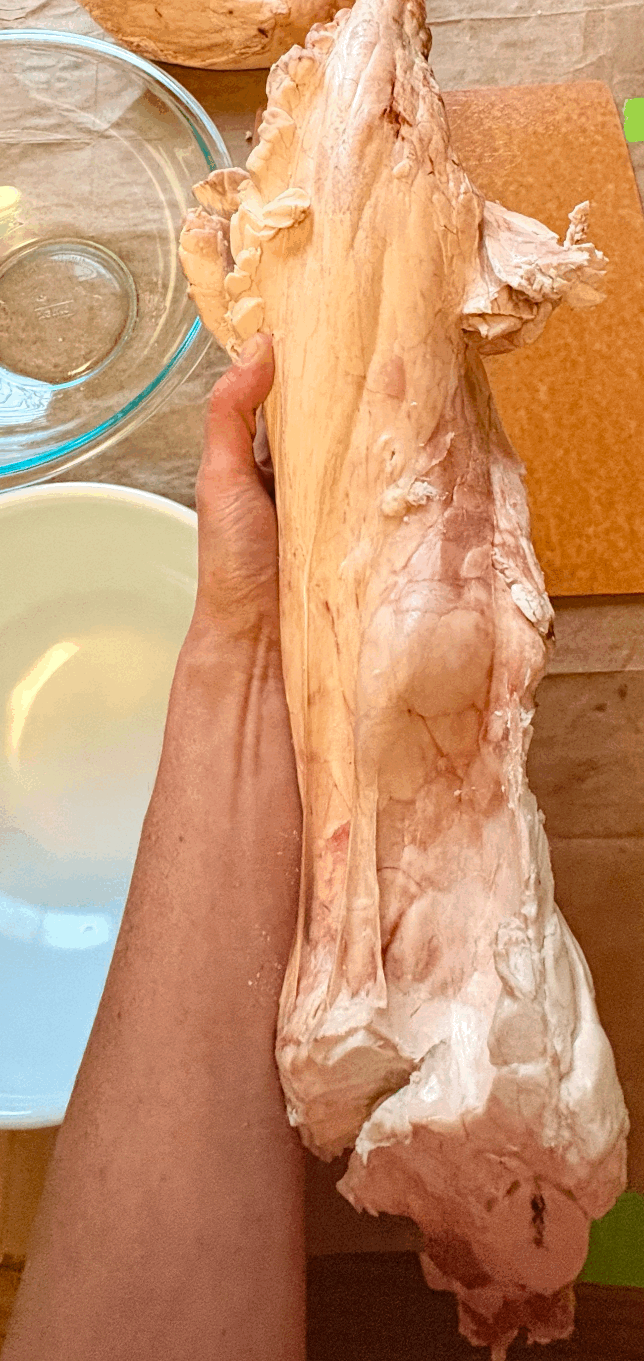 Why Kidney Suet? 