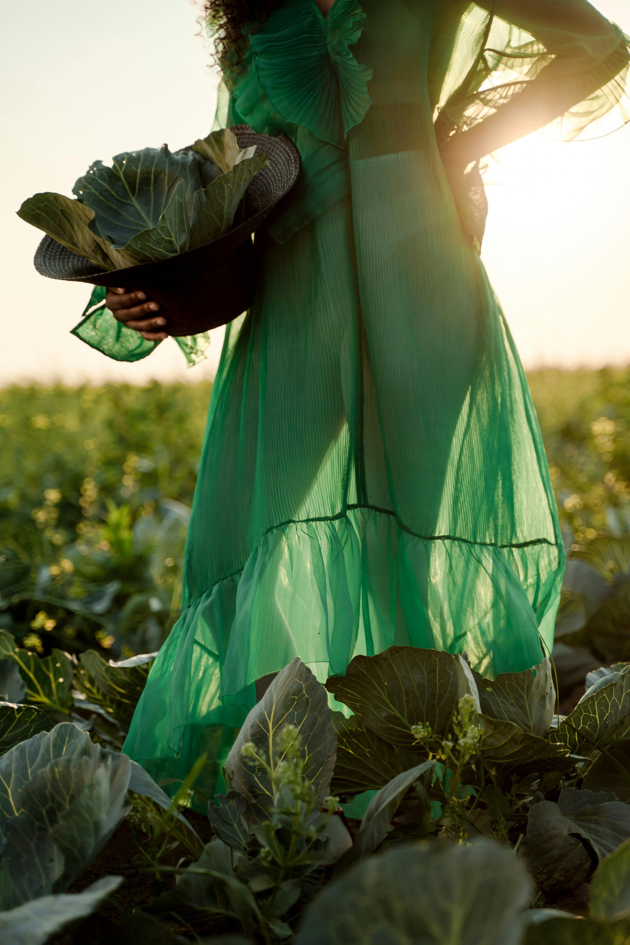 Person in a green dress holding a hat filled with cabbage in a field during sunset.