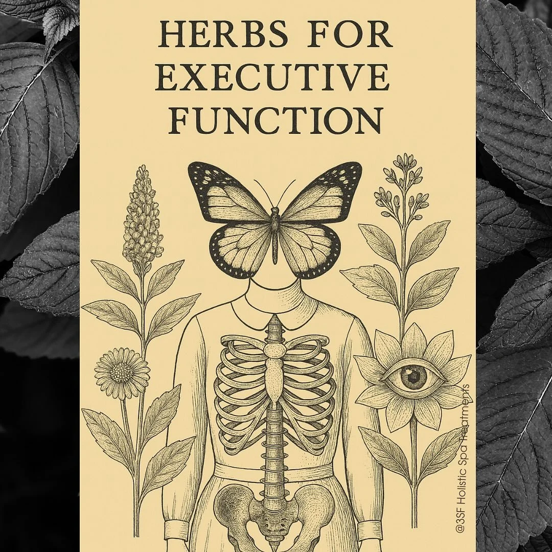 Herbs for Executive Function (When Homeschool Gets Spicy)

When the lesson plan meets big feelings, executive function isn&rsquo;t broken&mdash;it&rsquo;s just dysregulated.

Dysregulated snapshots
~Mama: rapid-fire directions, breath shallow, coffee
