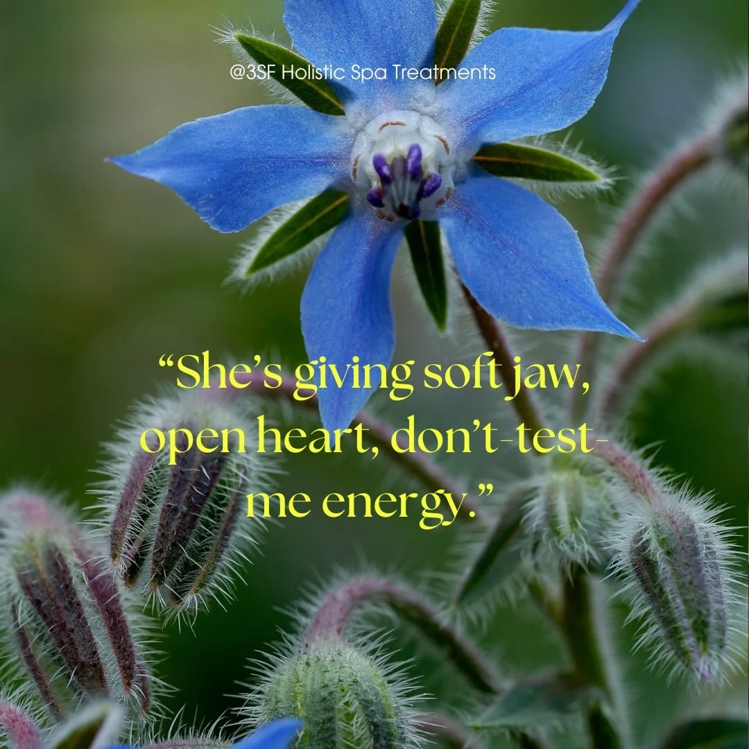 ✨ IN OUR GO GIRL ERA ✨
Borage is always our first love when making The G.O.A.T. Tea.
She brings a crisp, cooling, slightly sweet flavor profile &mdash; fresh, flirty, and garden-grown like she knows she&rsquo;s that girl.
And traditionally? Borage ha