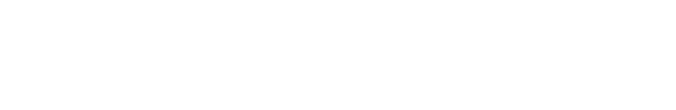 WebScout Logo