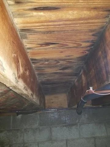 Basement mold removal and structural drying services in Vernon BC.