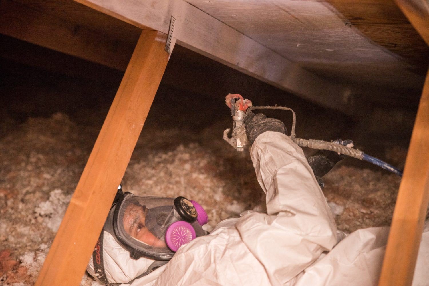 Professional mold remediation being performed in a Kelowna residential basement.