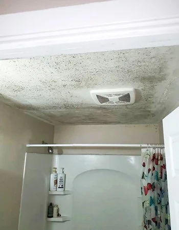 Residential bathroom mould cleanup and drywall removal in the Okanagan.