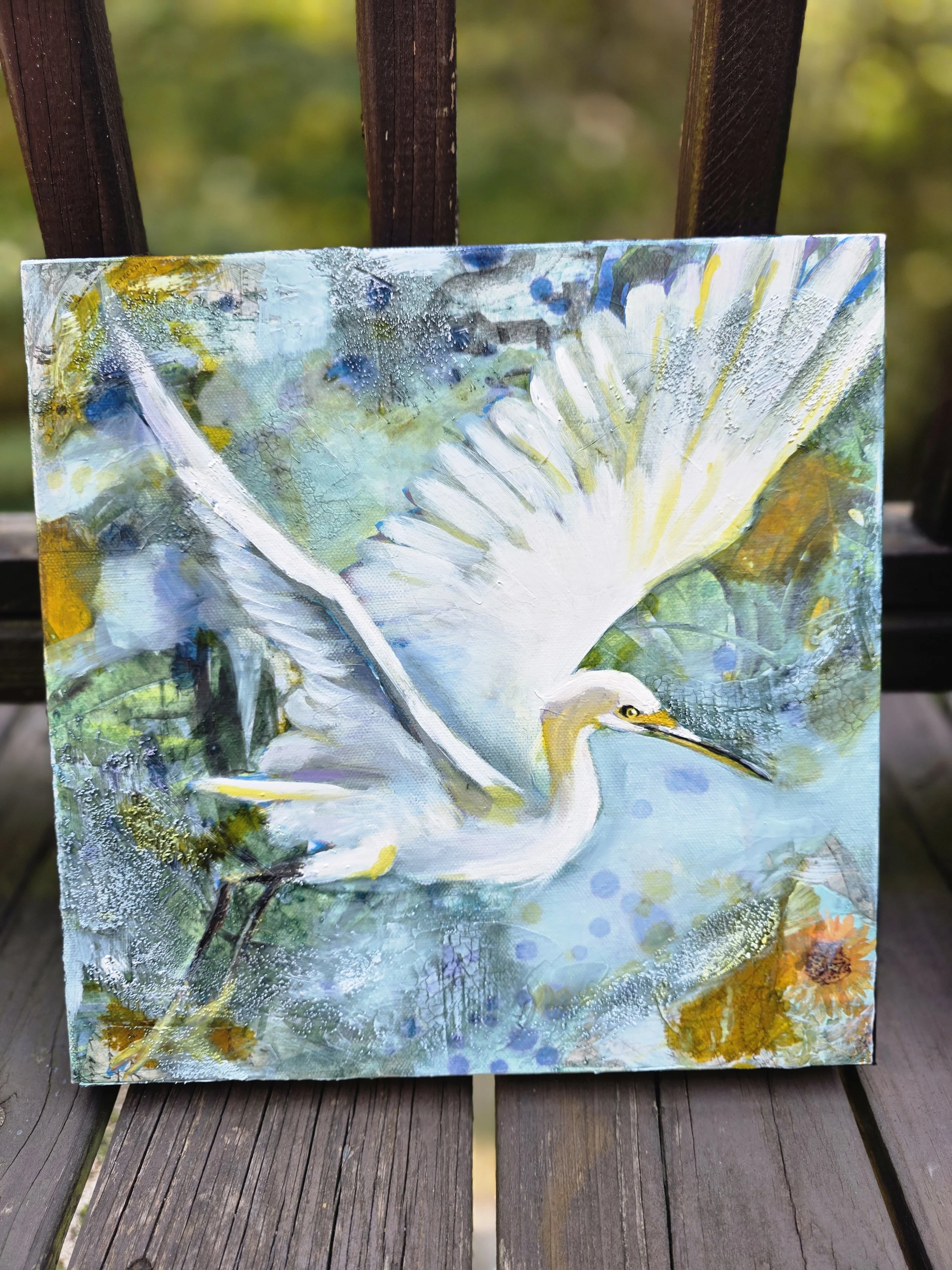 Great White Egret